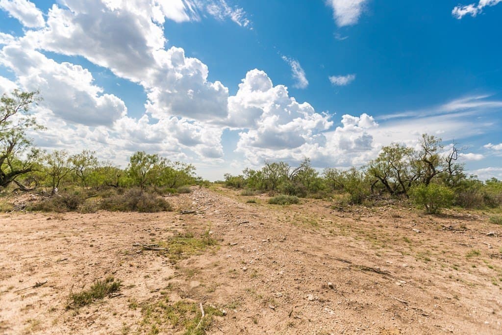 311 acres in Runnels County - photo 18