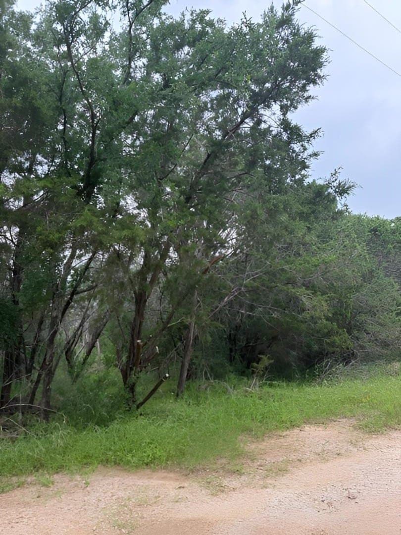 0.25 acres in Burnet County - photo 6