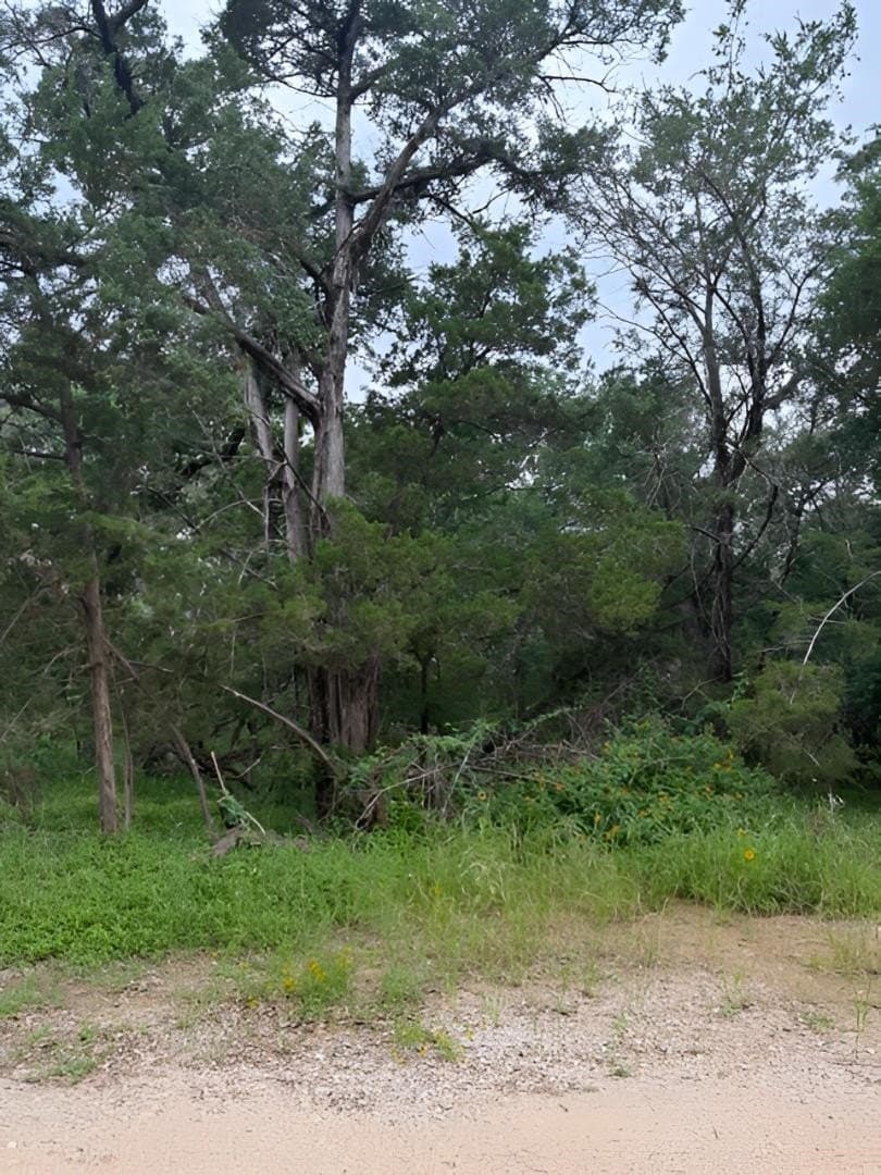 0.25 acres in Burnet County - photo 7
