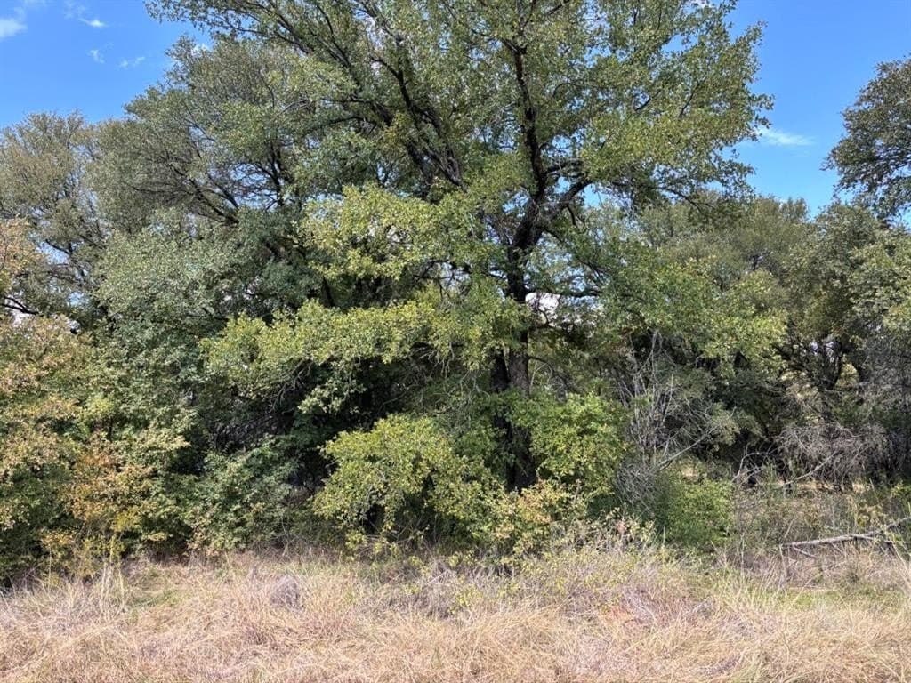 0.09 acres in Hood County gallery image 4