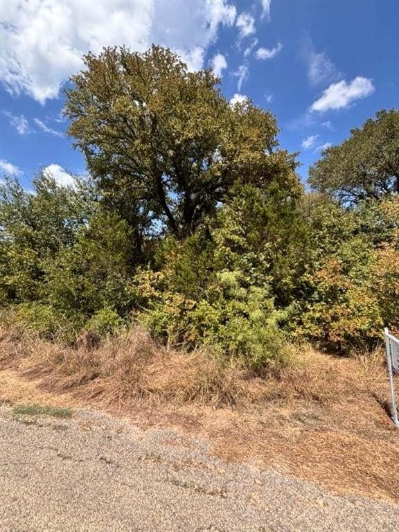 0.09 acres in Hood County gallery image 3