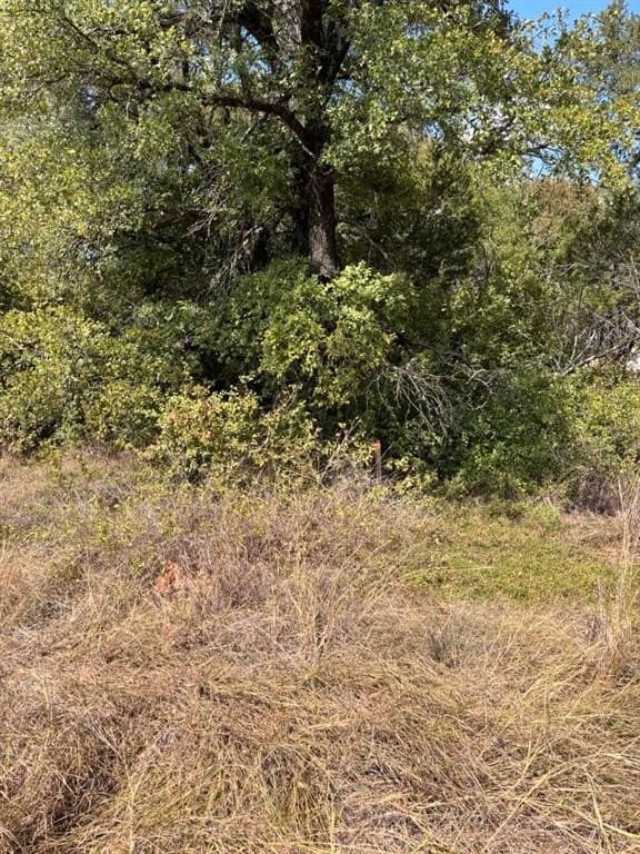 0.09 acres in Hood County featured view