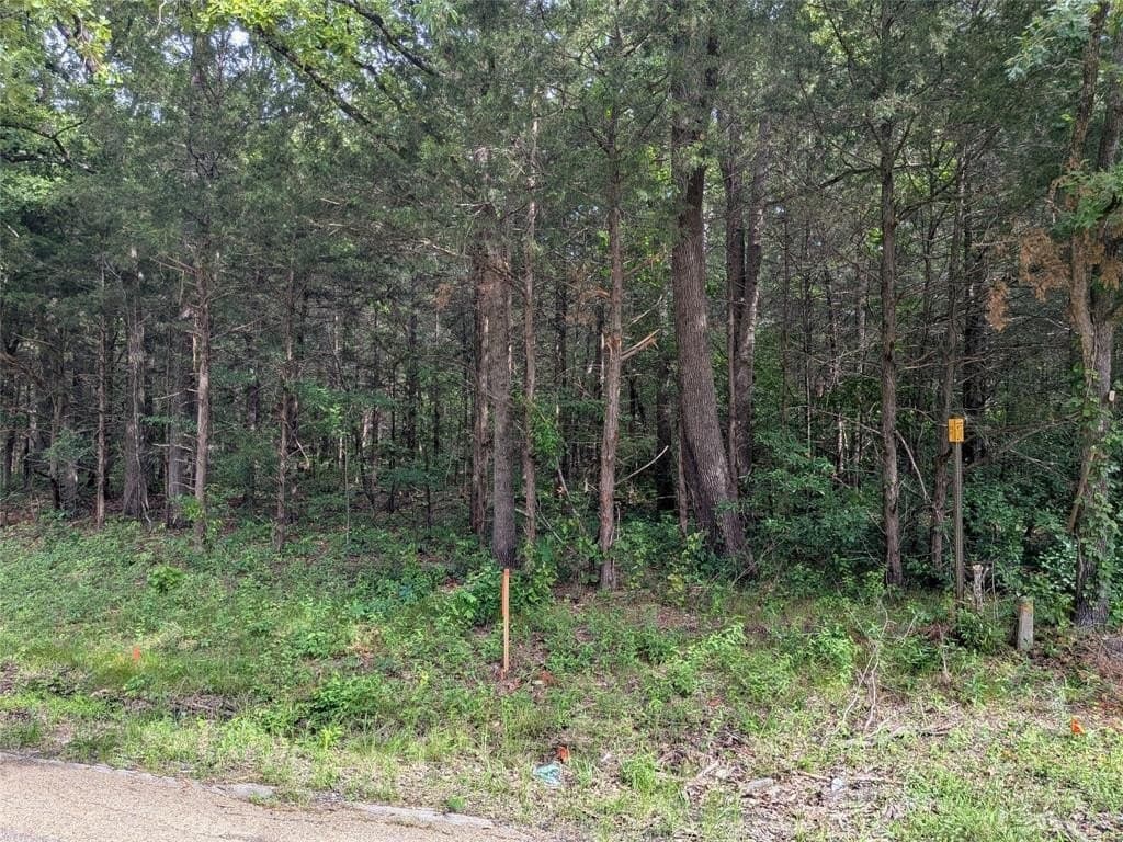 3.05 acres in Van Zandt County gallery image 3