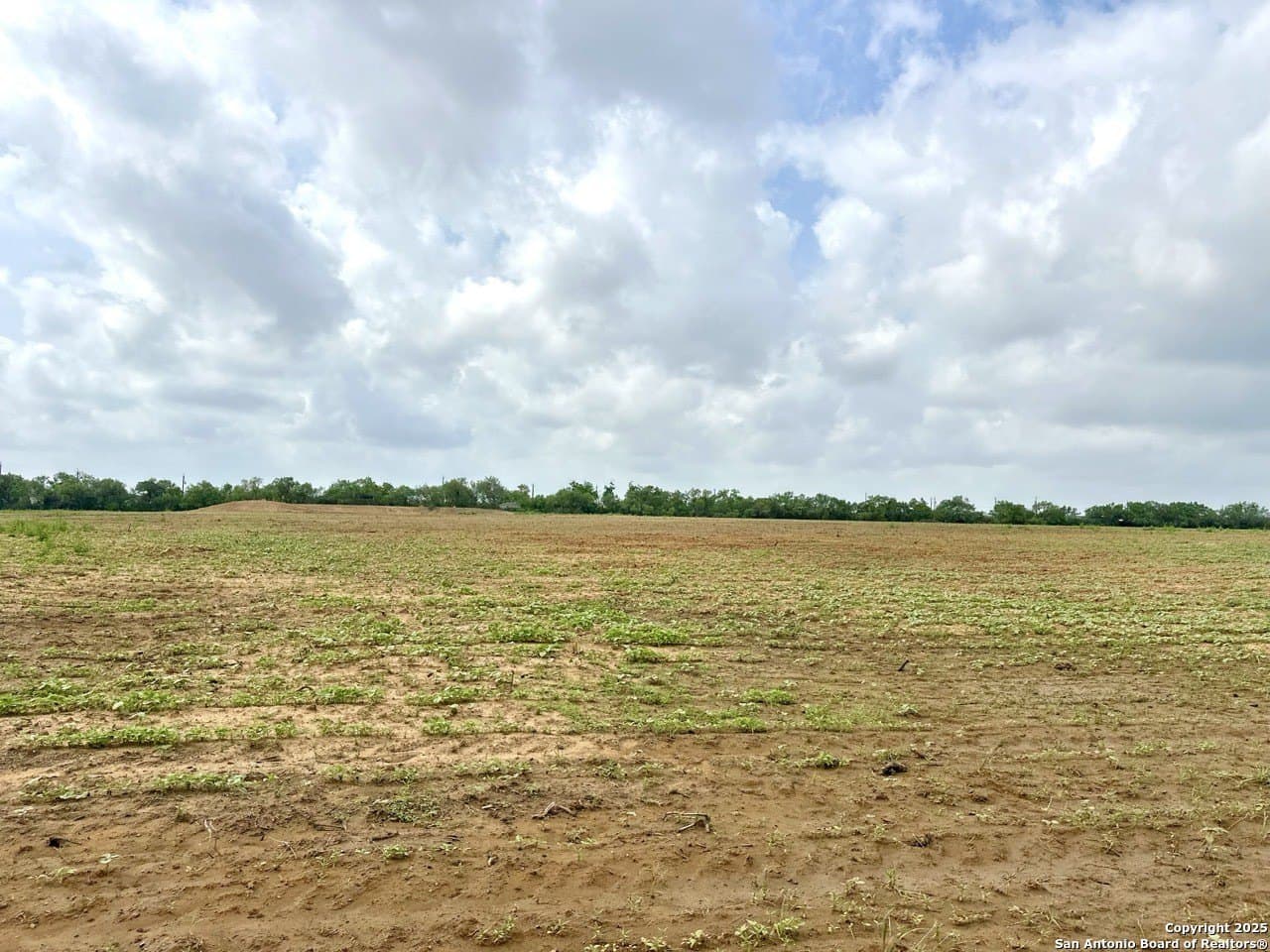 48.24 acres in Atascosa County - photo 6