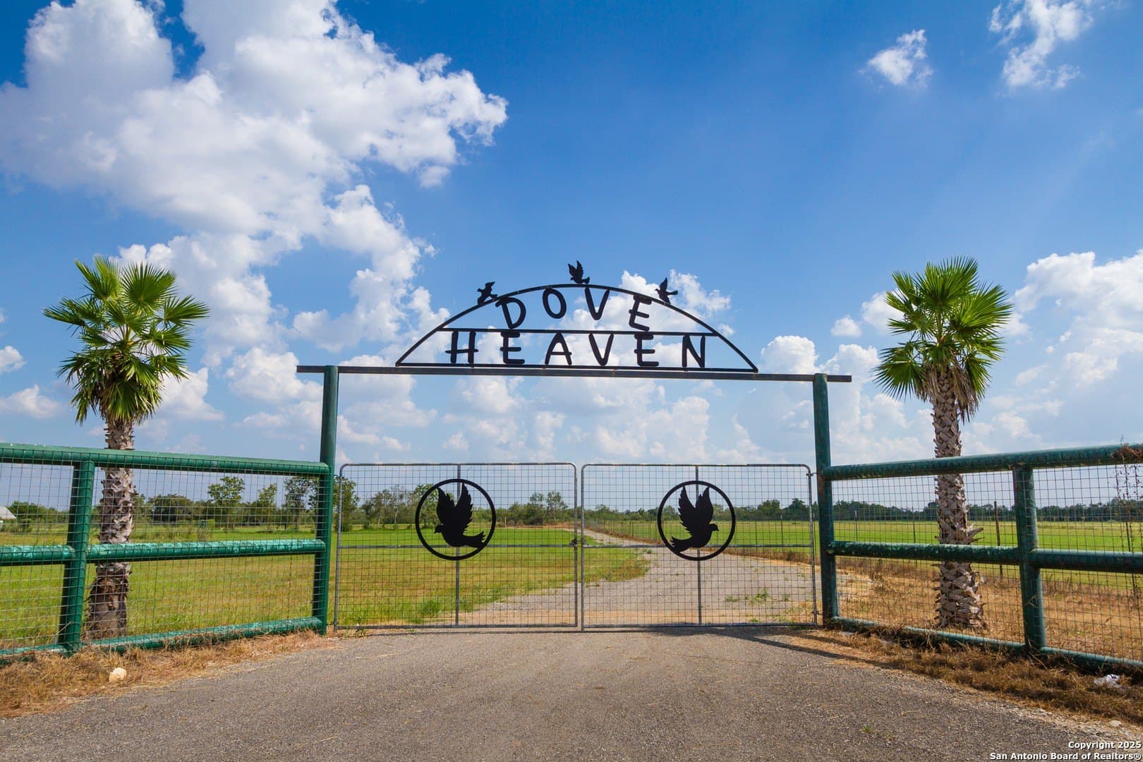 48.24 acres in Atascosa County