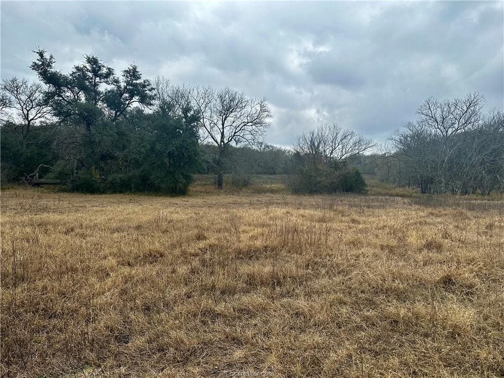 28.84 acres in Burleson County gallery image 2