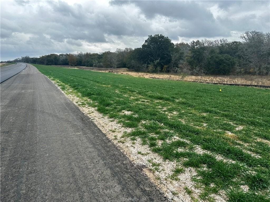 28.84 acres in Burleson County gallery image 3