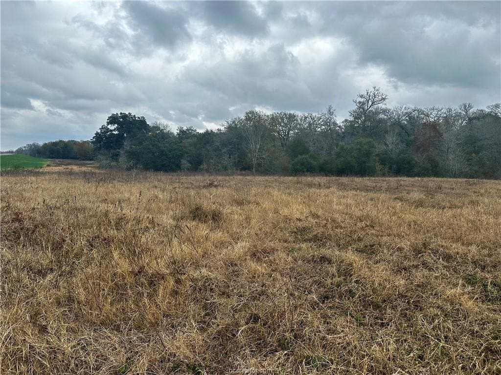 28.84 acres in Burleson County