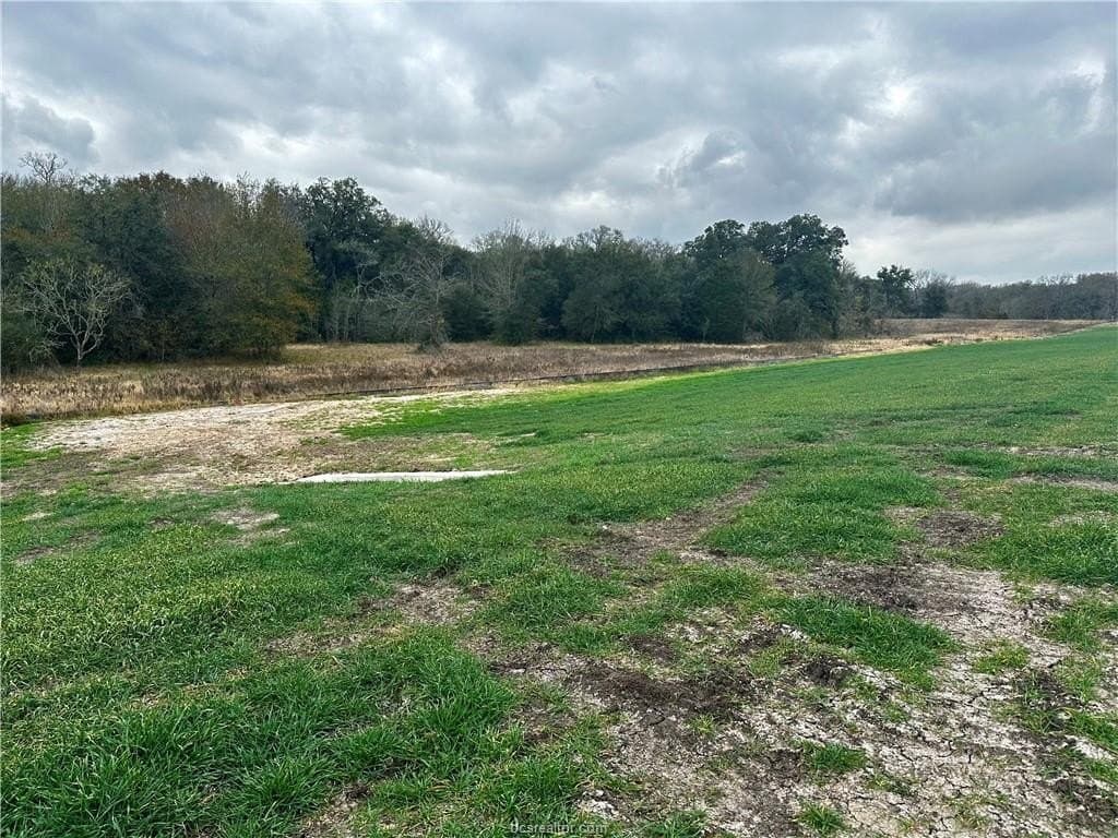 28.84 acres in Burleson County featured view