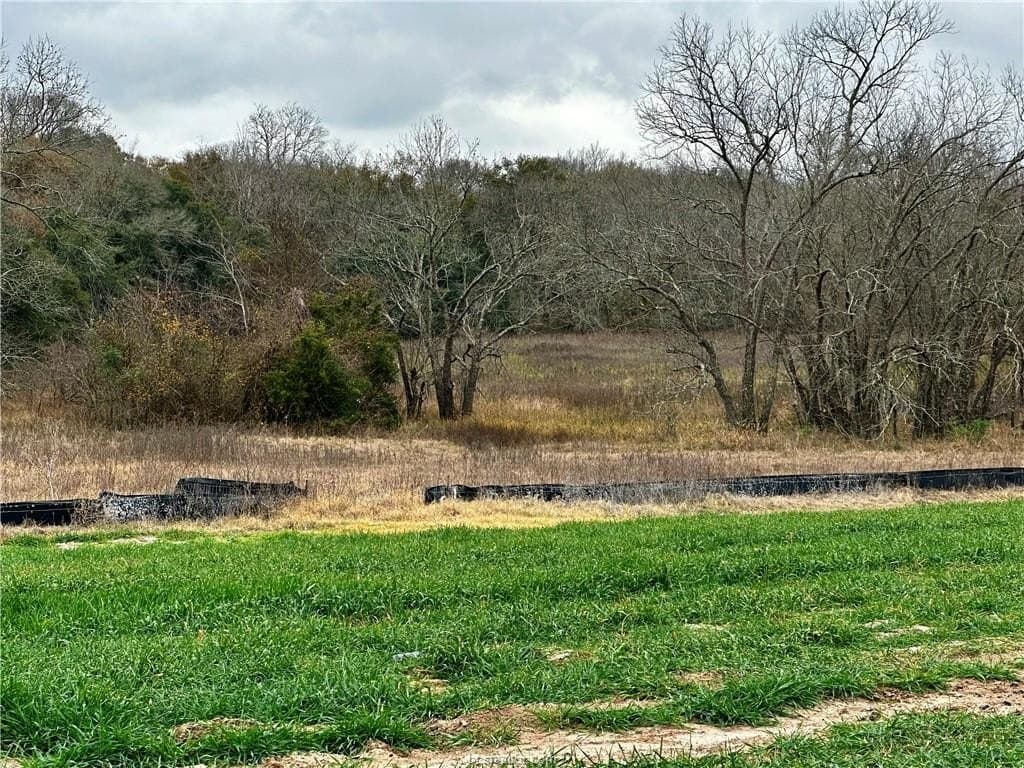 28.84 acres in Burleson County - photo 6