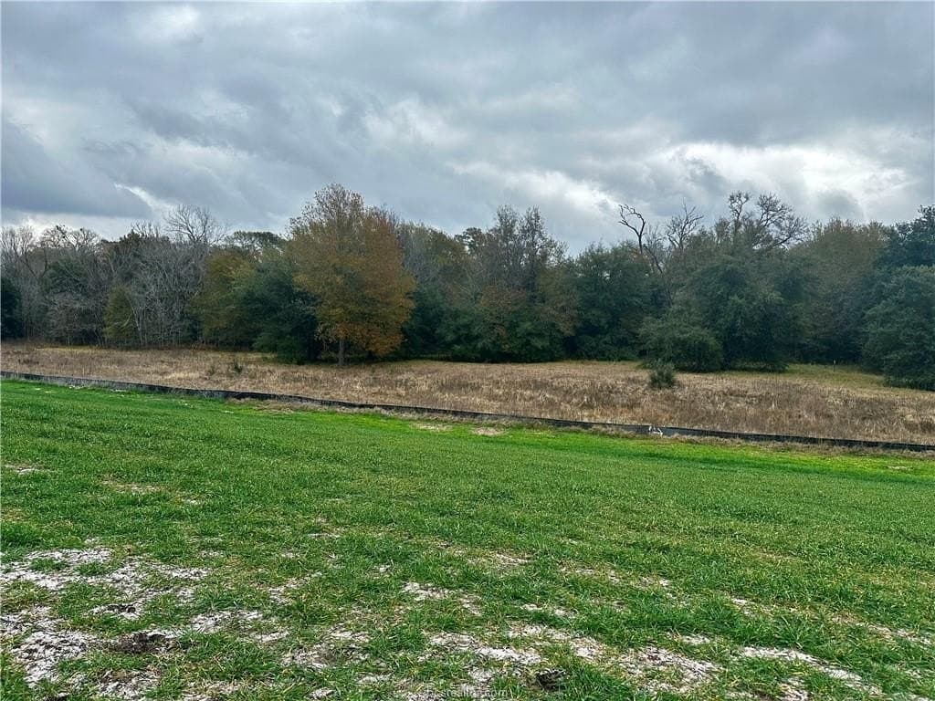 28.84 acres in Burleson County gallery image 4