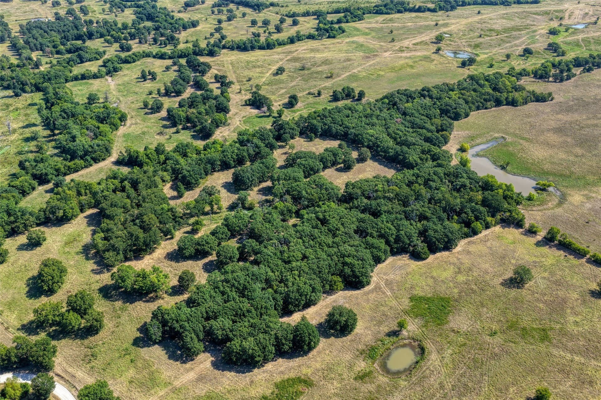 20 acres in Hunt County - photo 4