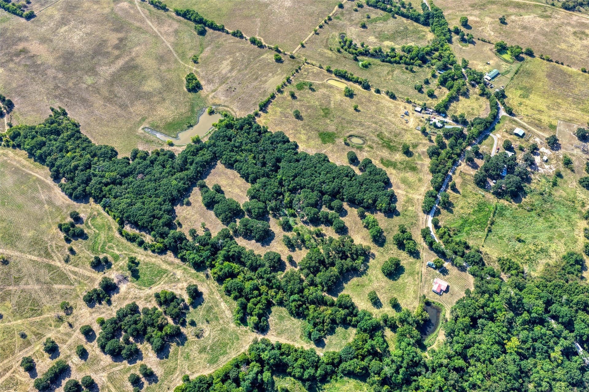 20 acres in Hunt County - photo 7