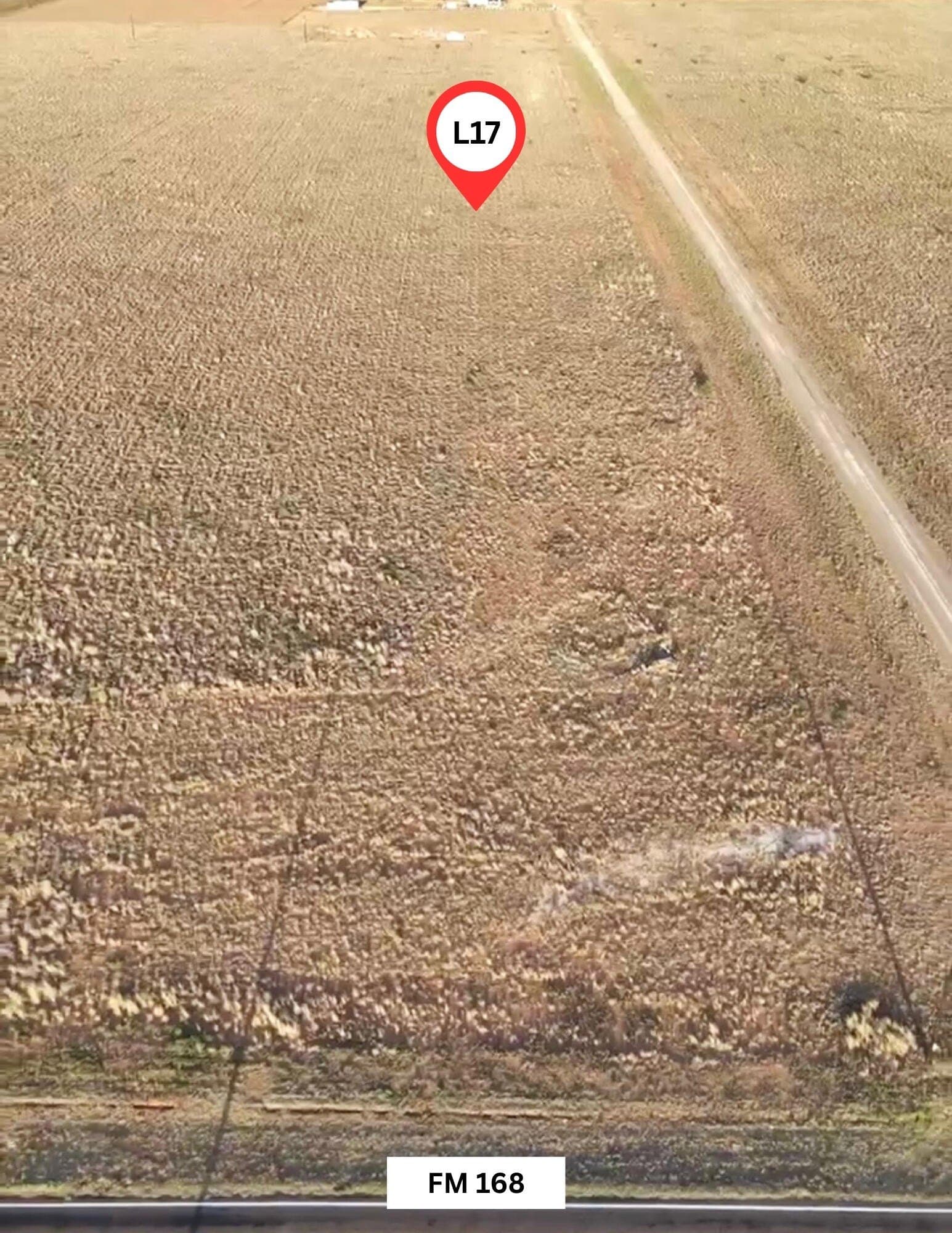 4.93 acres in Hockley County - photo 3