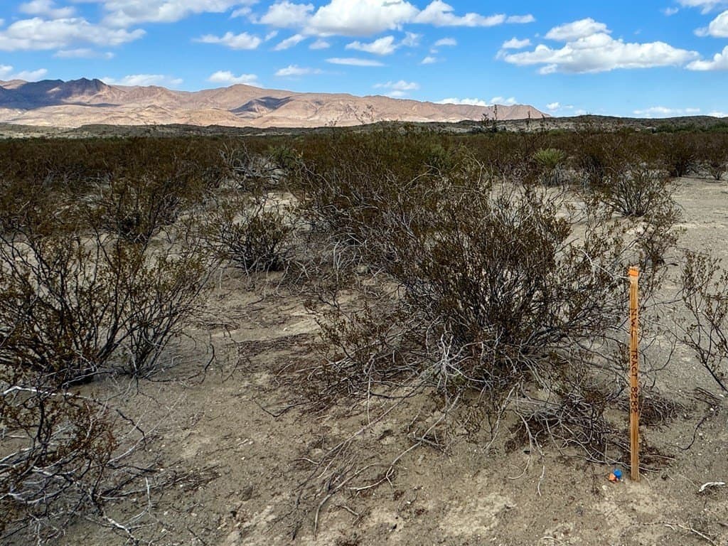 20.03 acres in Brewster County - photo 19