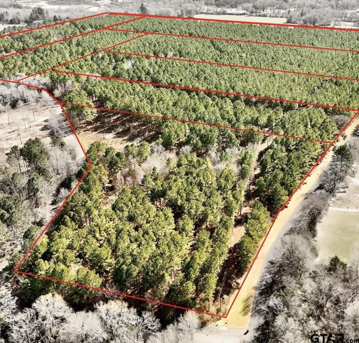 6 acres in Smith County gallery image 2