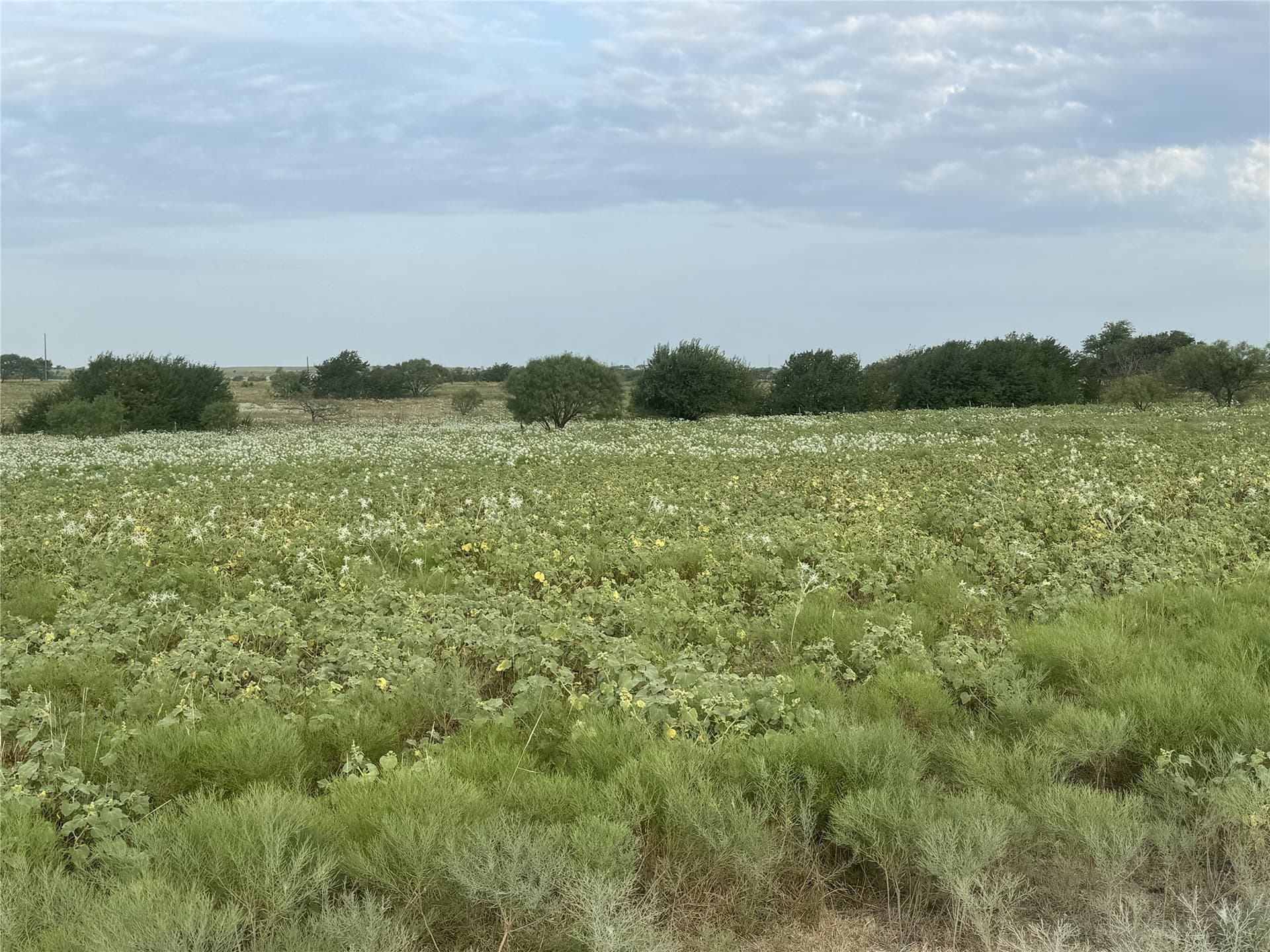 10.03 acres in Wise County - photo 6