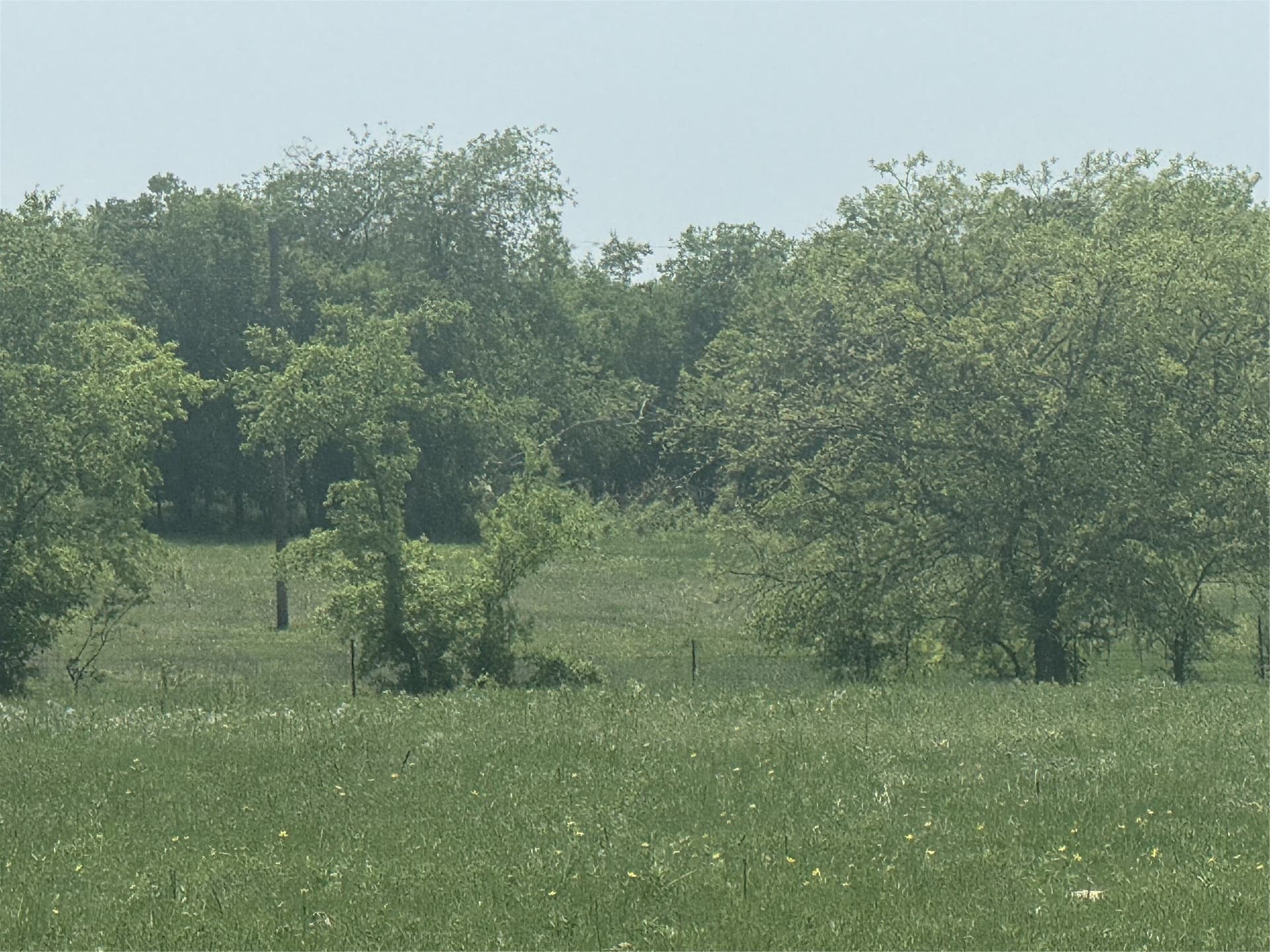 10.03 acres in Wise County - photo 4