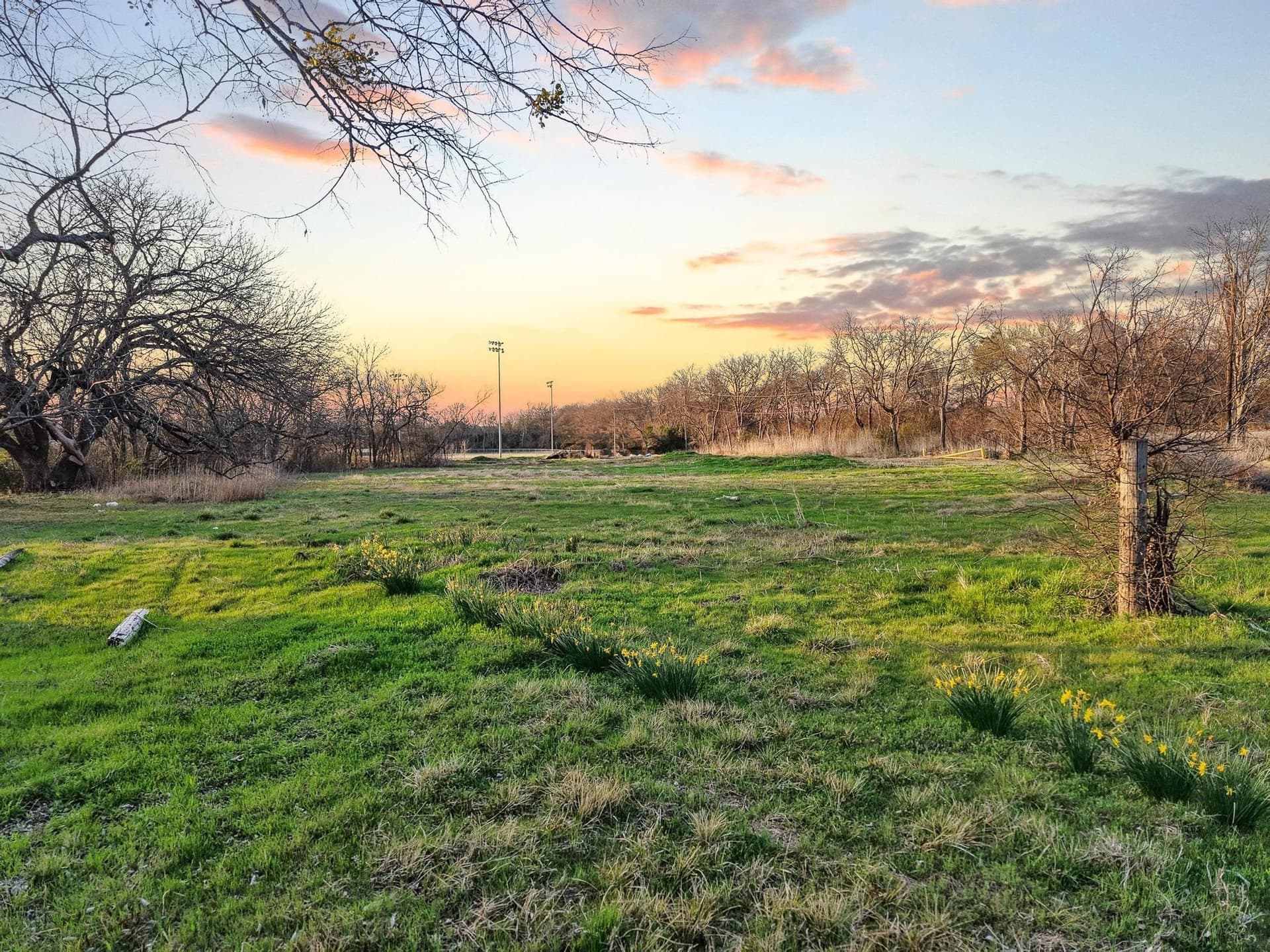 0.14 acres in Fannin County - photo 18