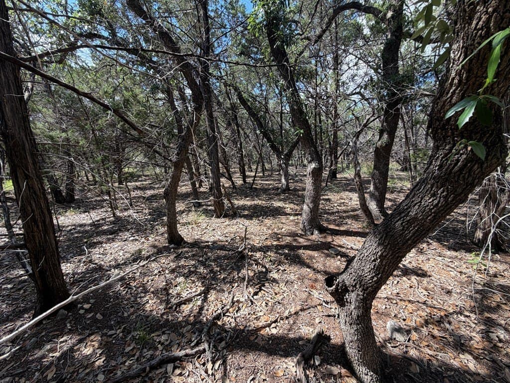 3.42 acres in Bandera County gallery image 3