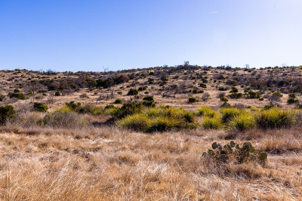 43.73 acres in Edwards County gallery image 3