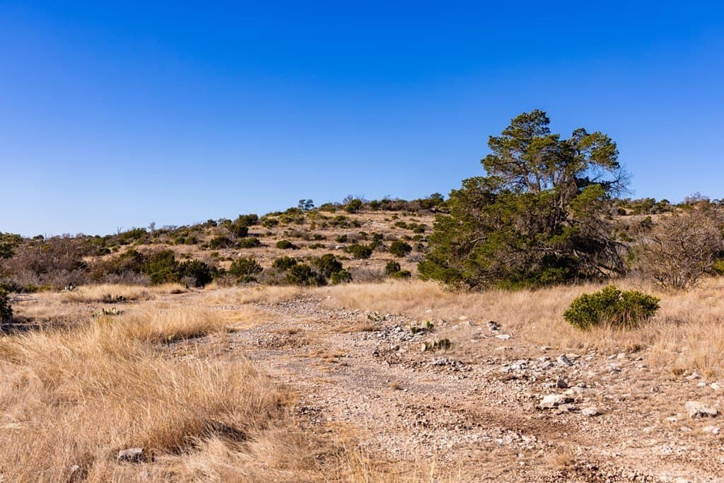 43.73 acres in Edwards County gallery image 4