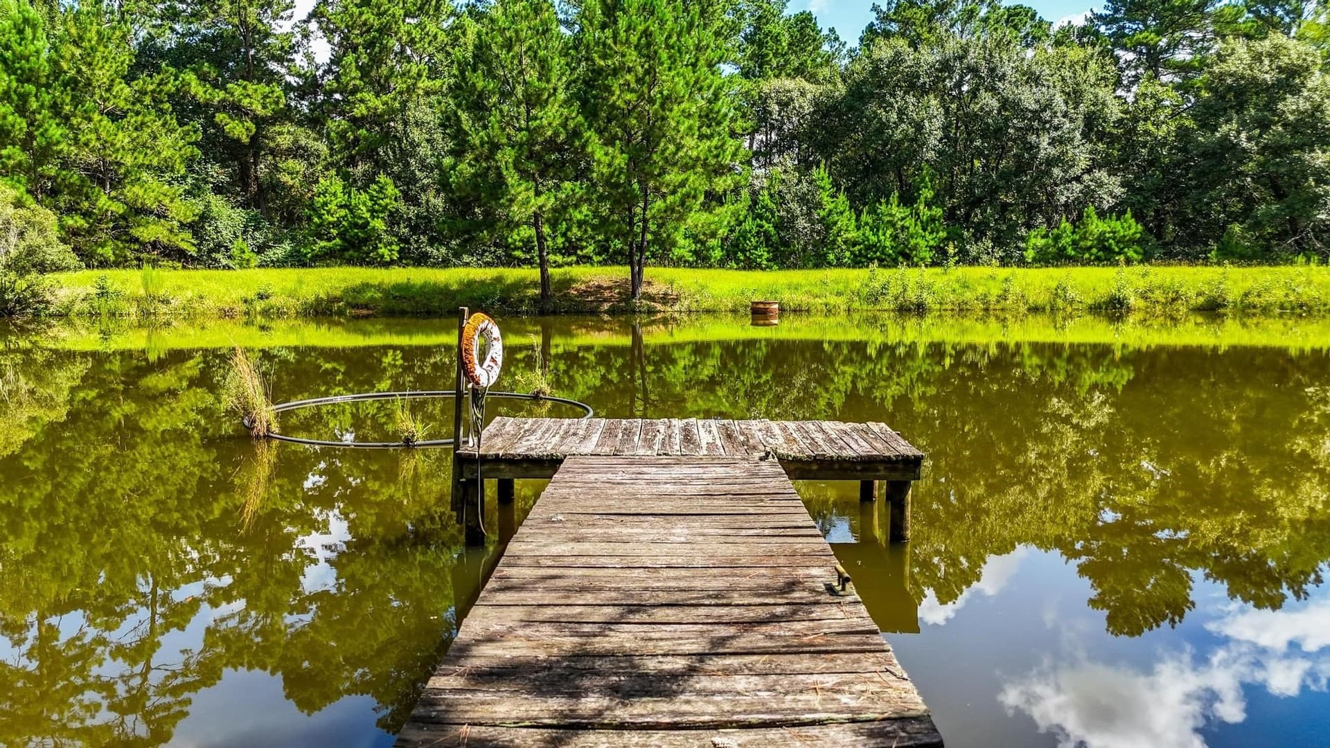 19 acres in Grimes County - photo 3