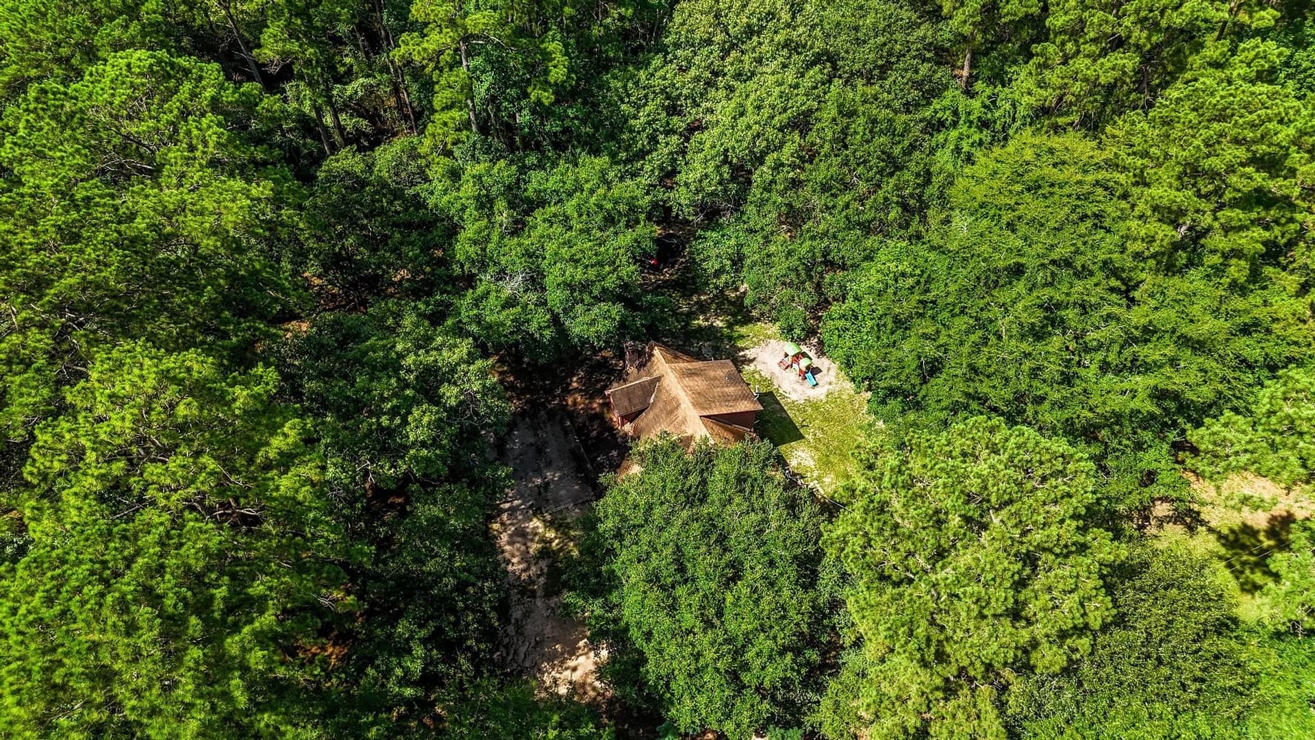 19 acres in Grimes County - photo 29