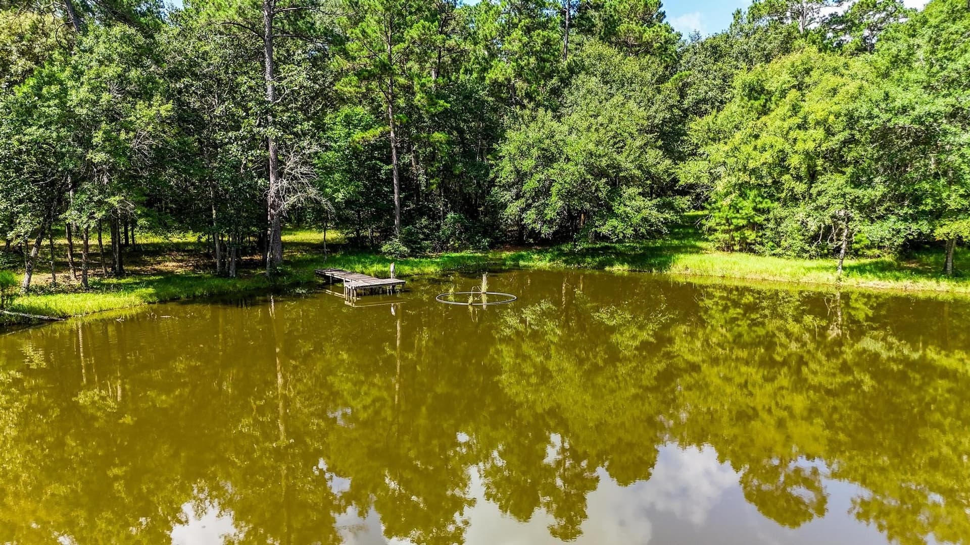 19 acres in Grimes County - photo 28