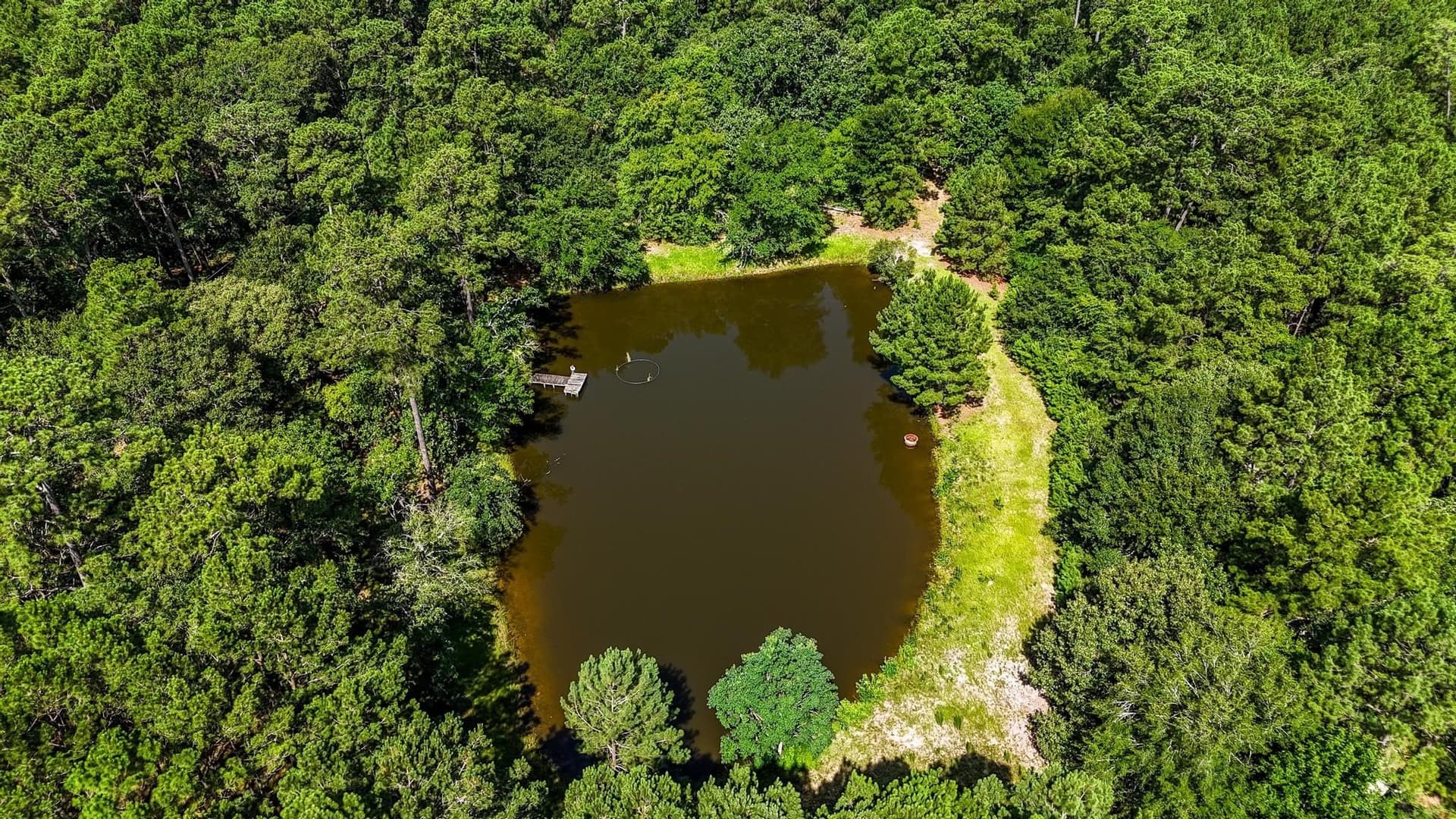 19 acres in Grimes County - photo 2