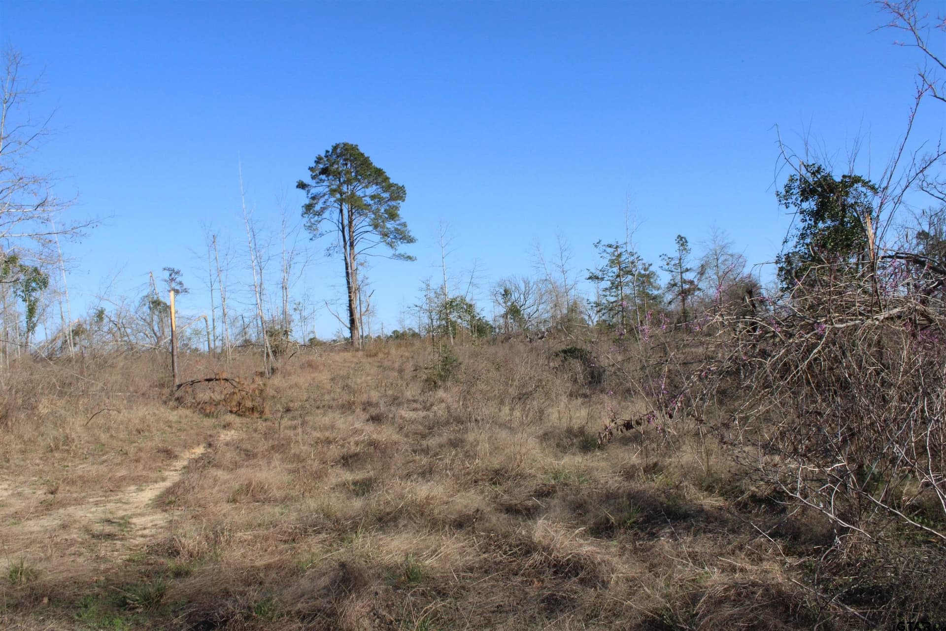 34 acres in Cherokee County featured view