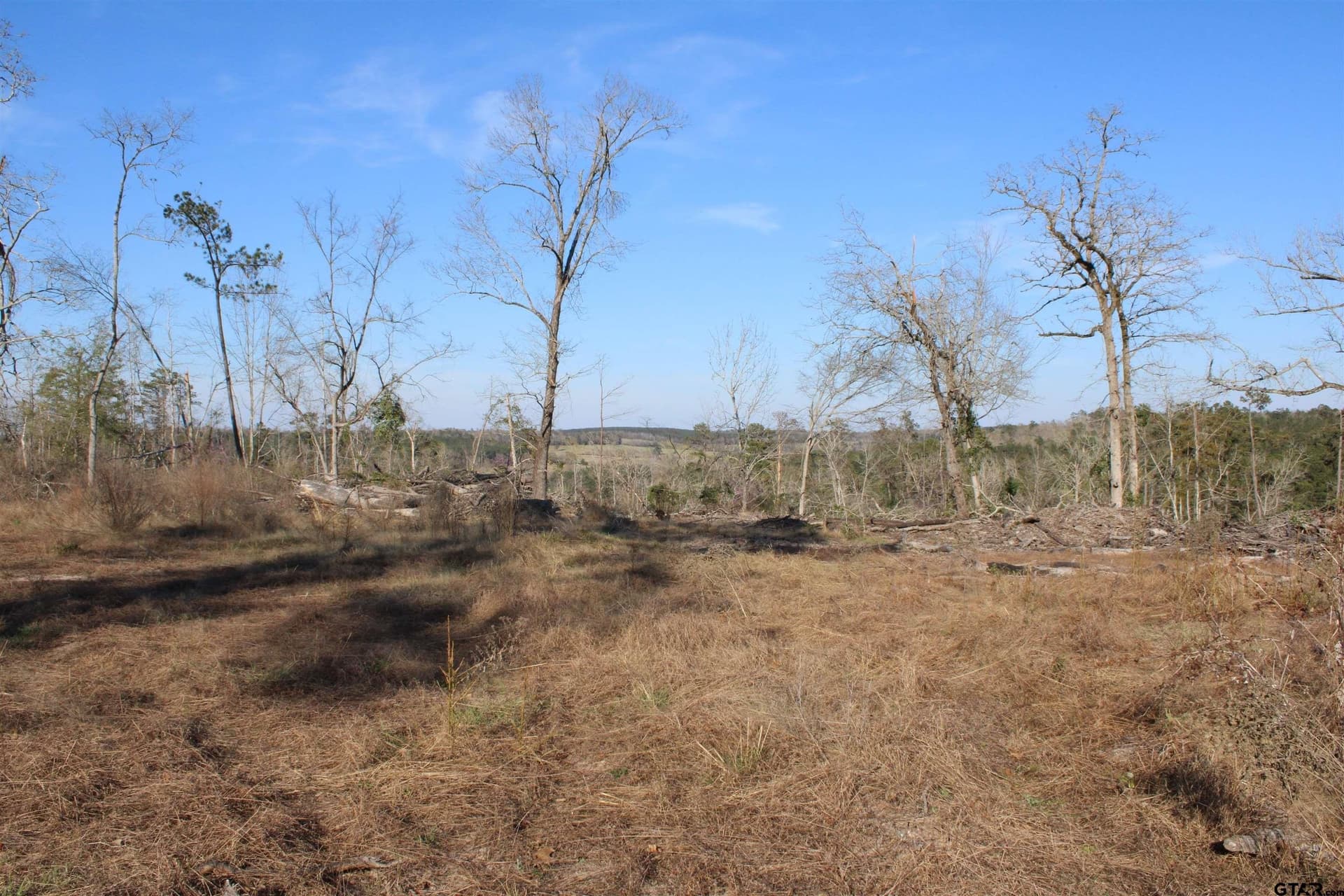 34 acres in Cherokee County - photo 6