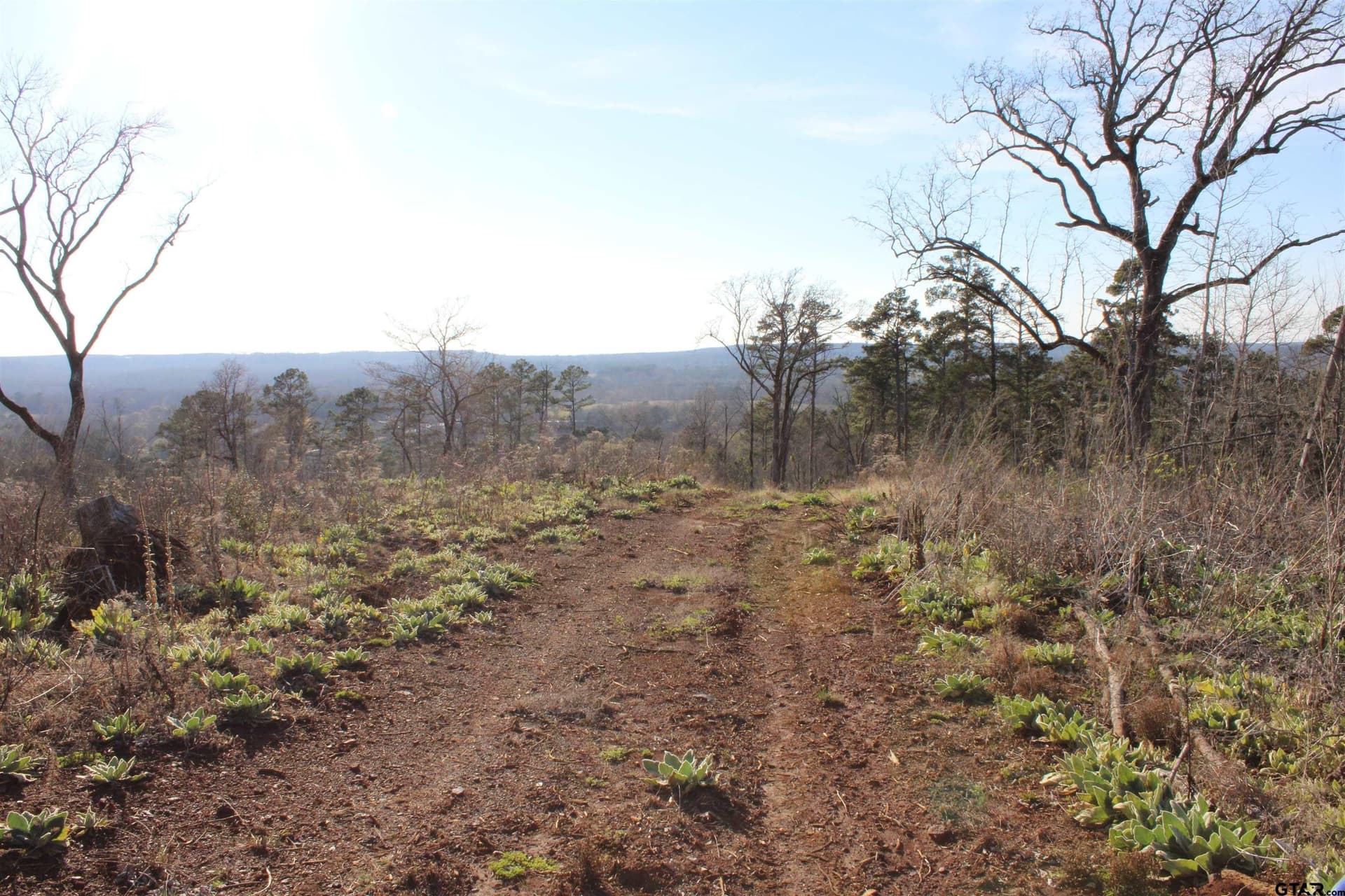 34 acres in Cherokee County - photo 12
