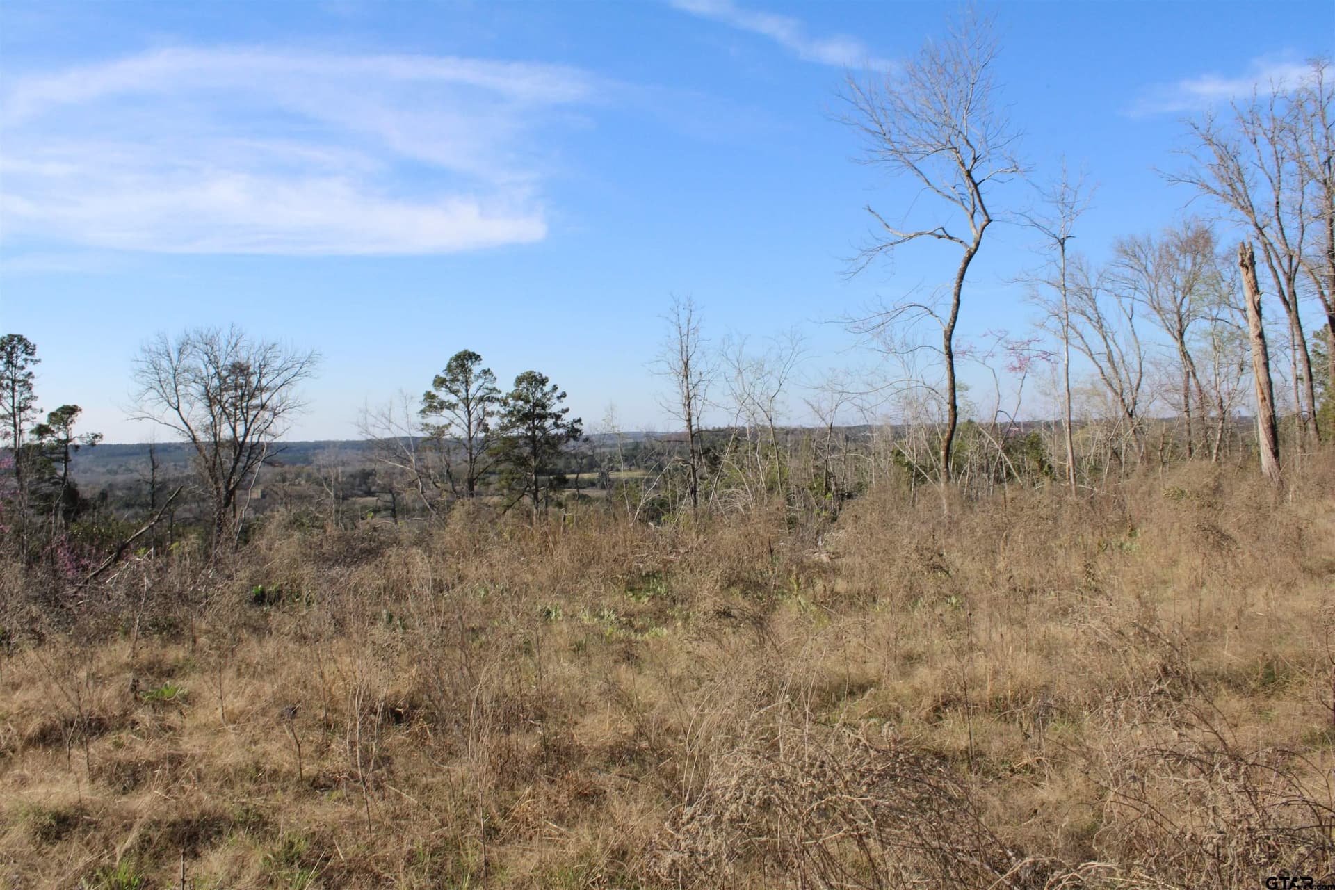 34 acres in Cherokee County gallery image 3