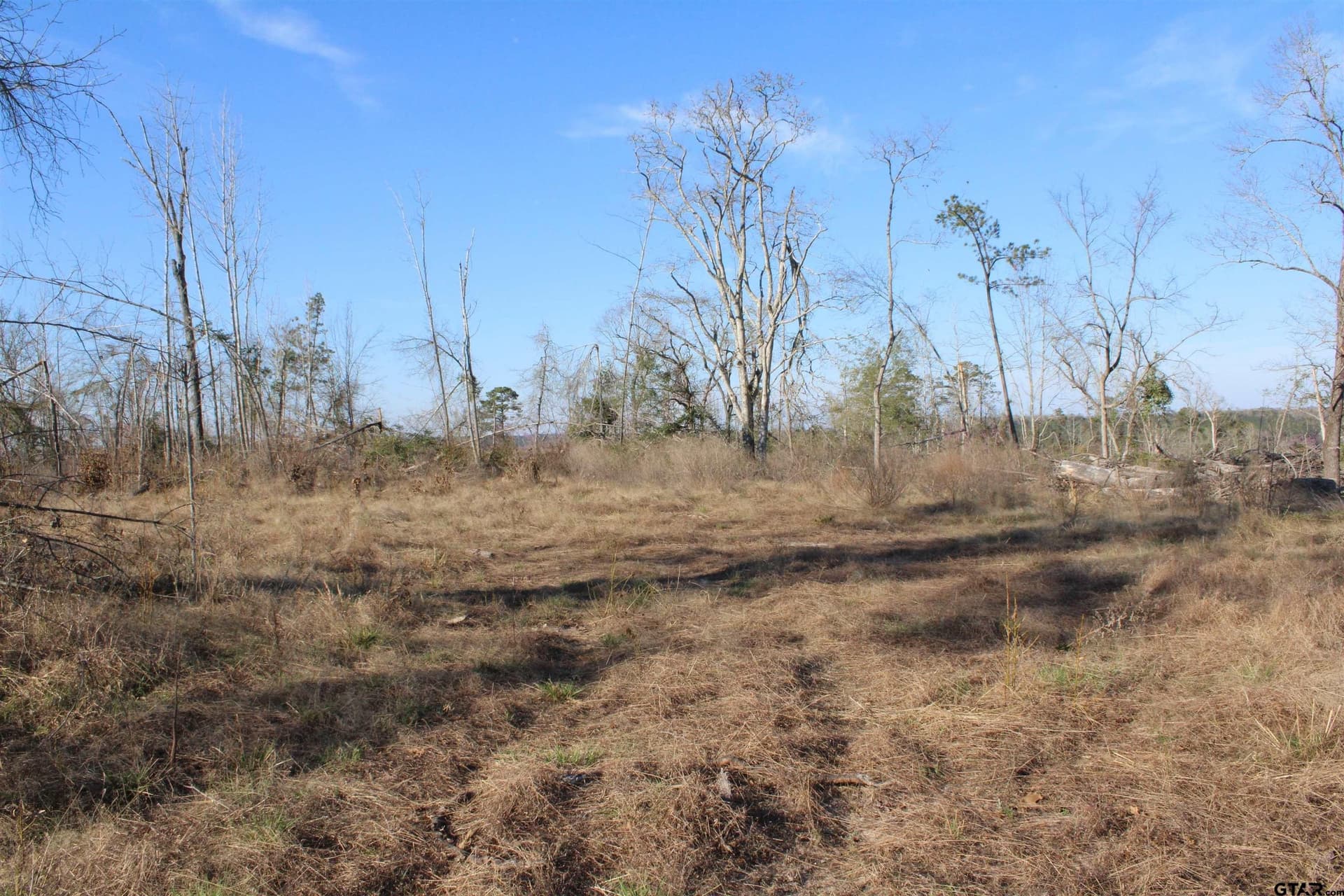 34 acres in Cherokee County gallery image 2