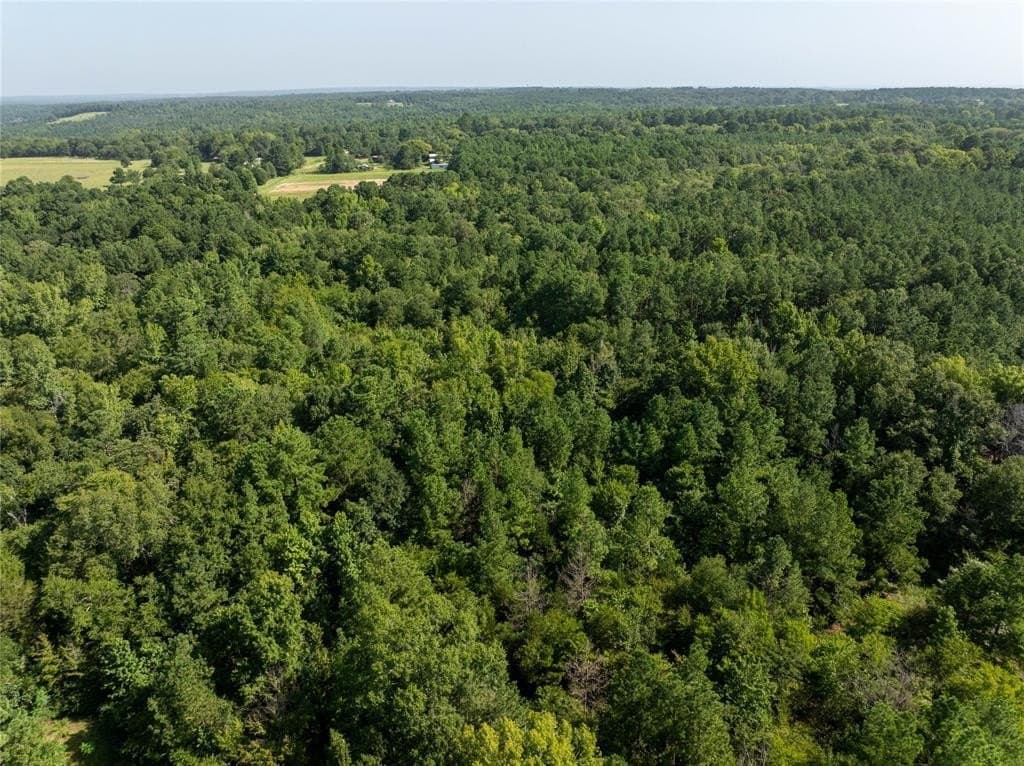 34.91 acres in Cherokee County gallery image 4