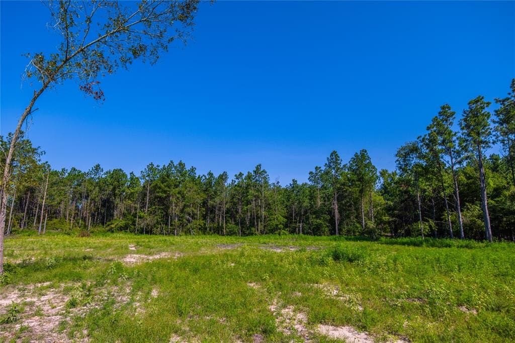 34.91 acres in Cherokee County featured view