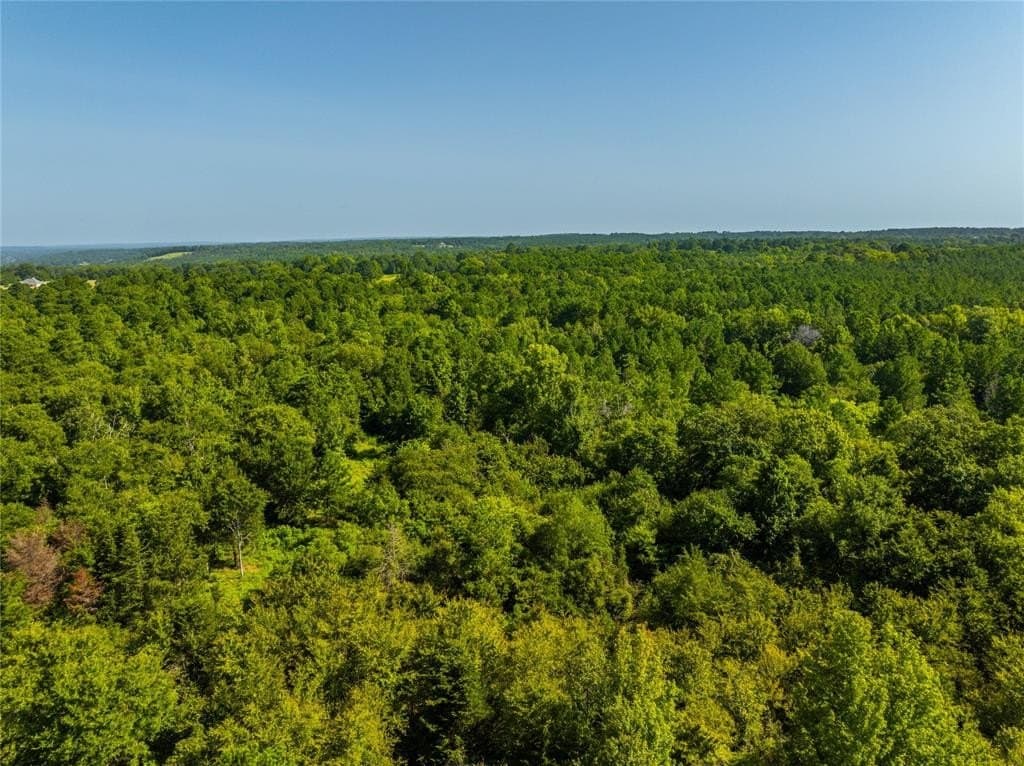 34.91 acres in Cherokee County gallery image 2