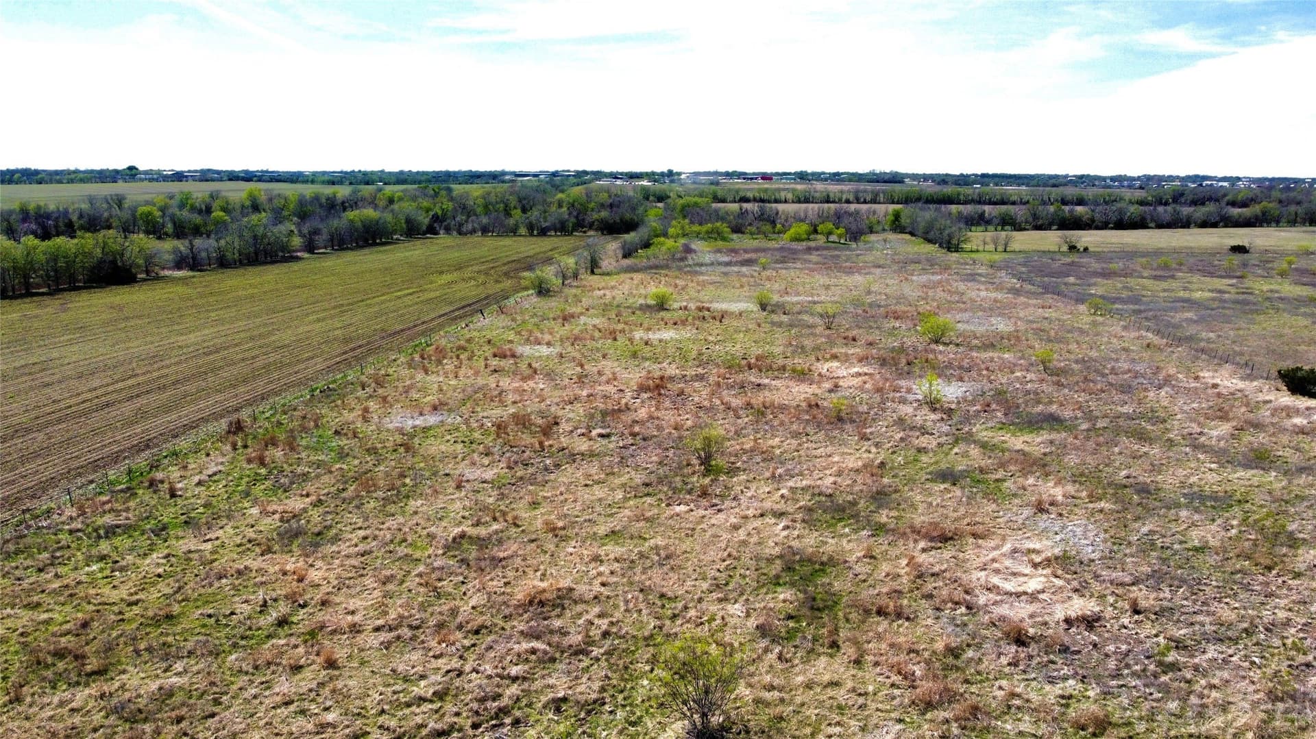 167 acres in McLennan County gallery image 2