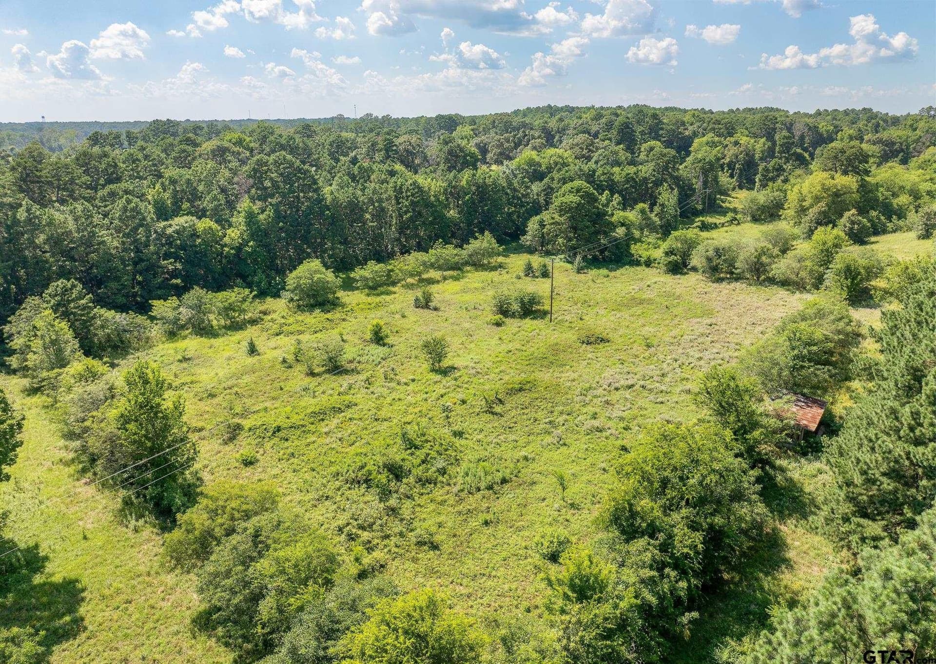 35 acres in Wood County - photo 12