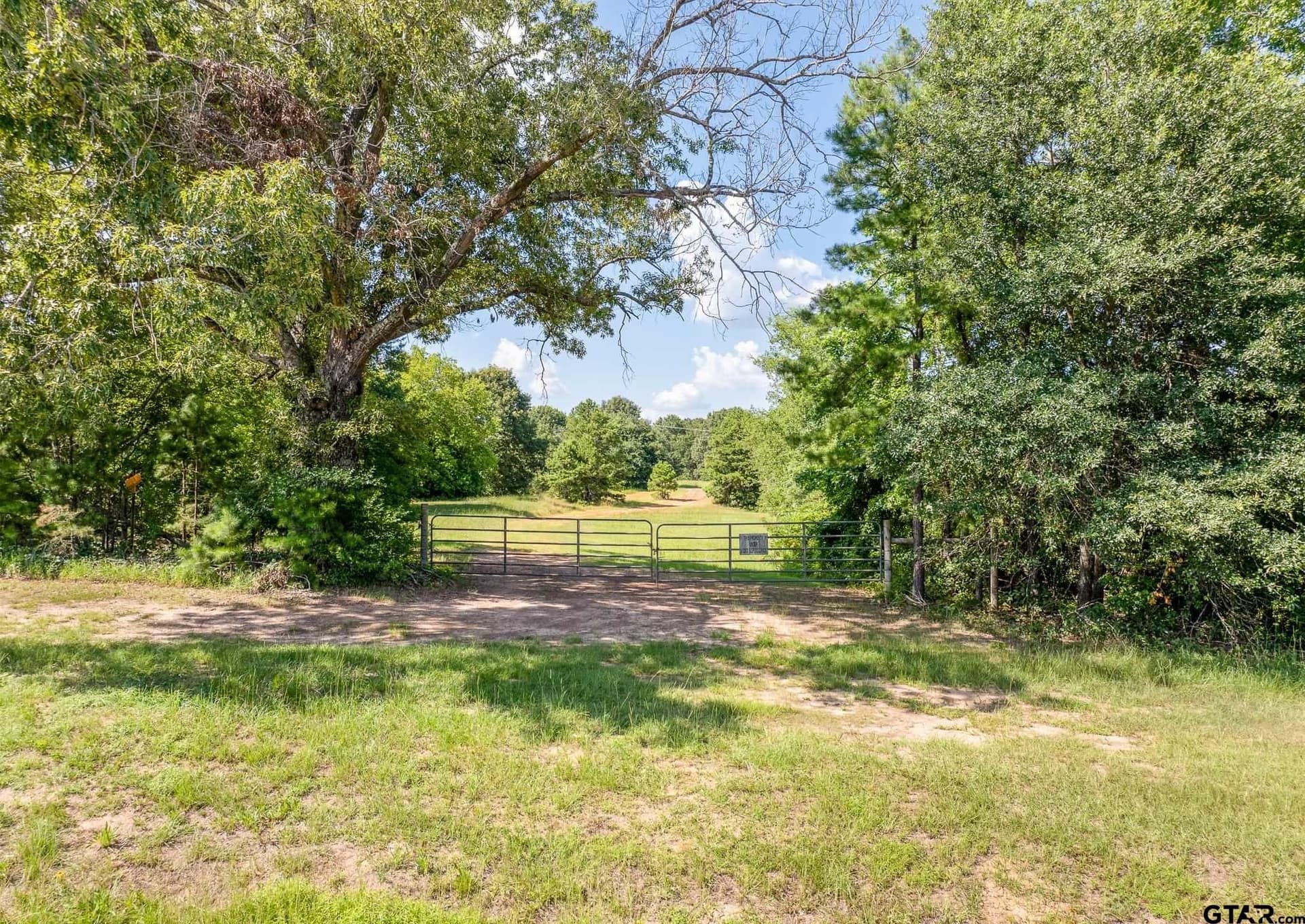 35 acres in Wood County - photo 14