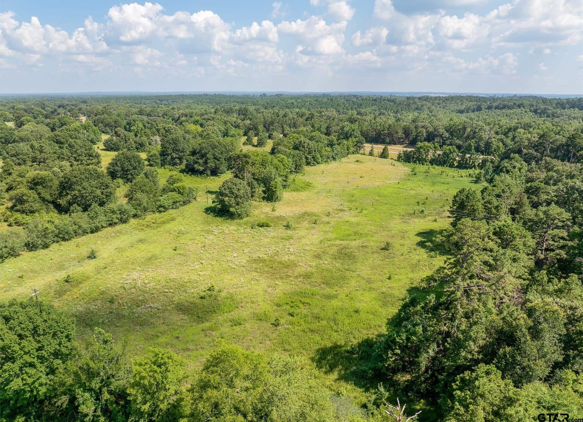 35 acres in Wood County - photo 6