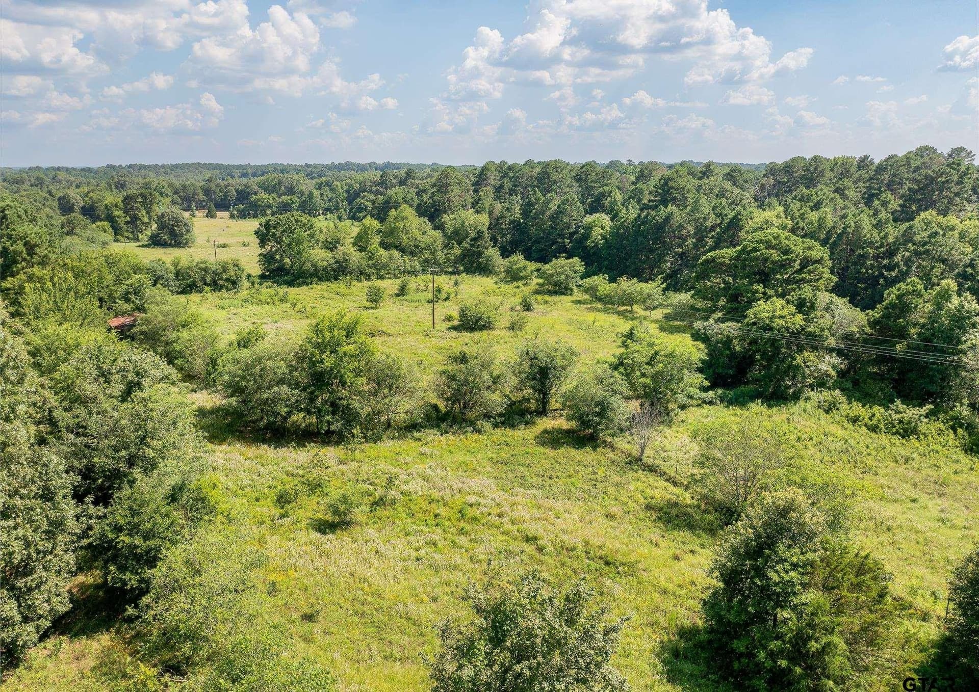 35 acres in Wood County - photo 13
