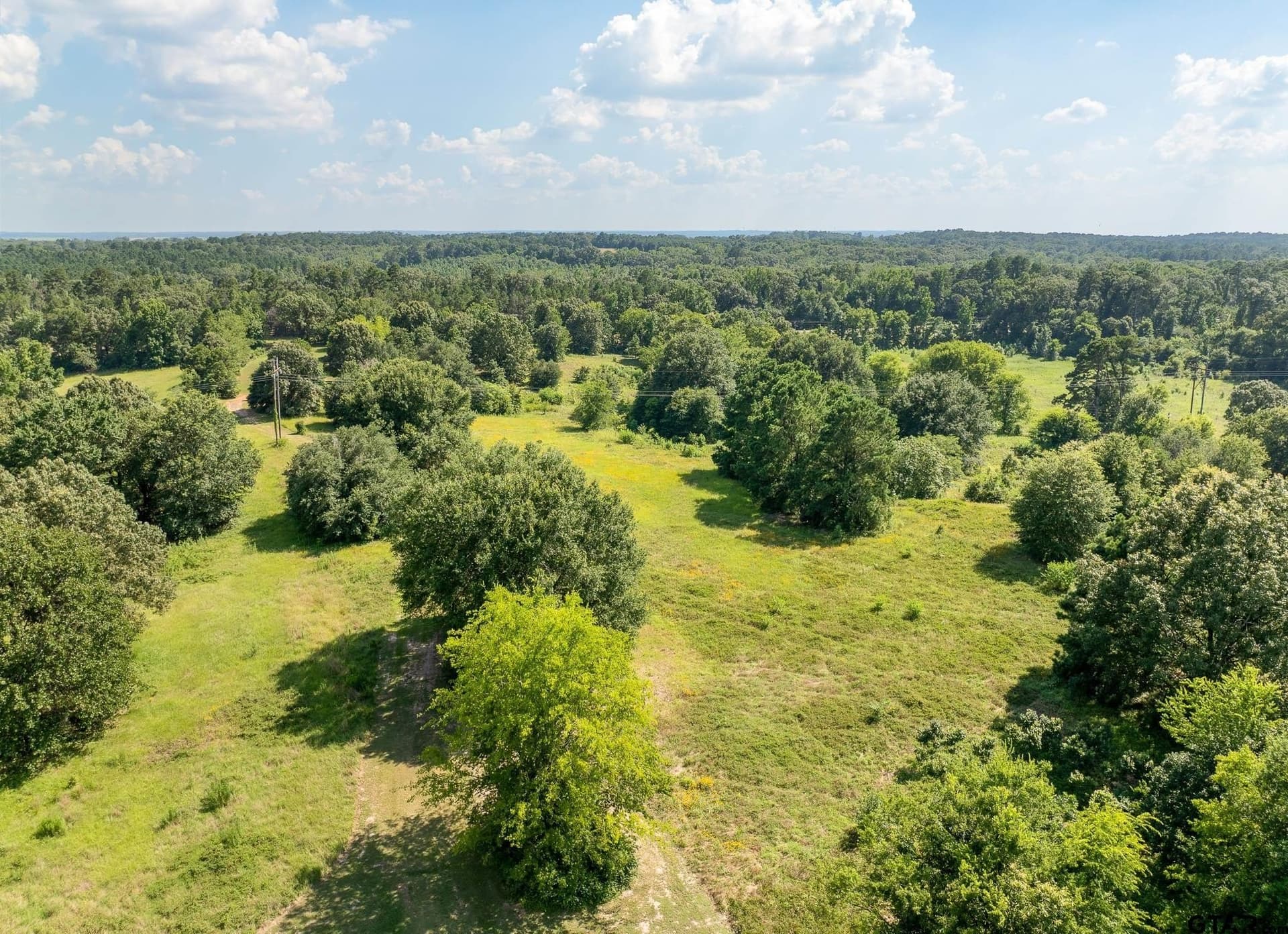 35 acres in Wood County - photo 15