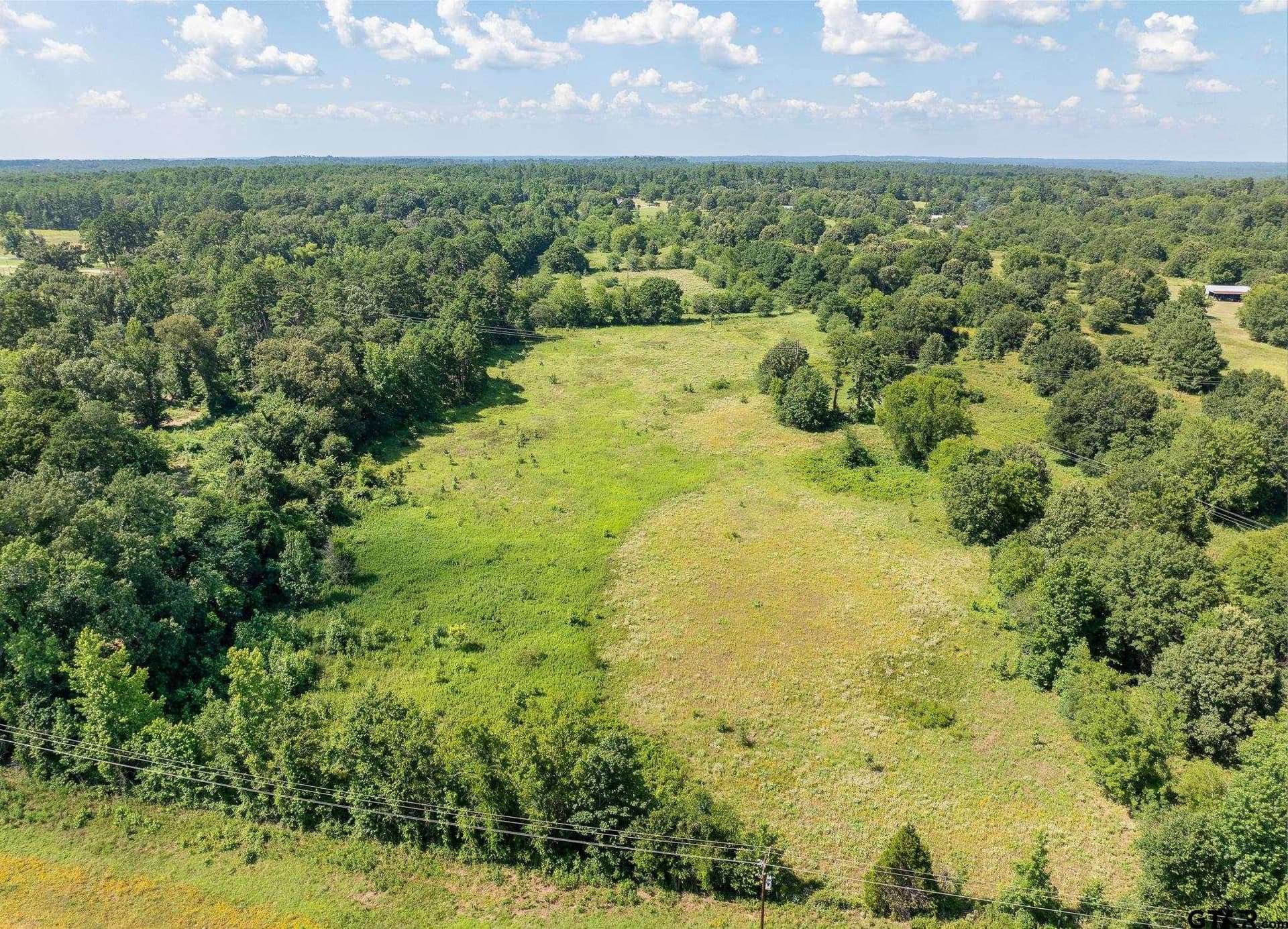 35 acres in Wood County featured view