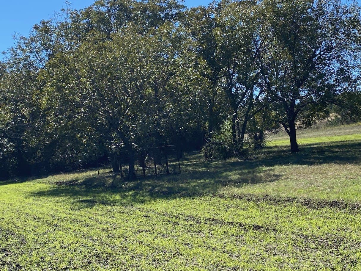 85.79 acres in Erath County - photo 29