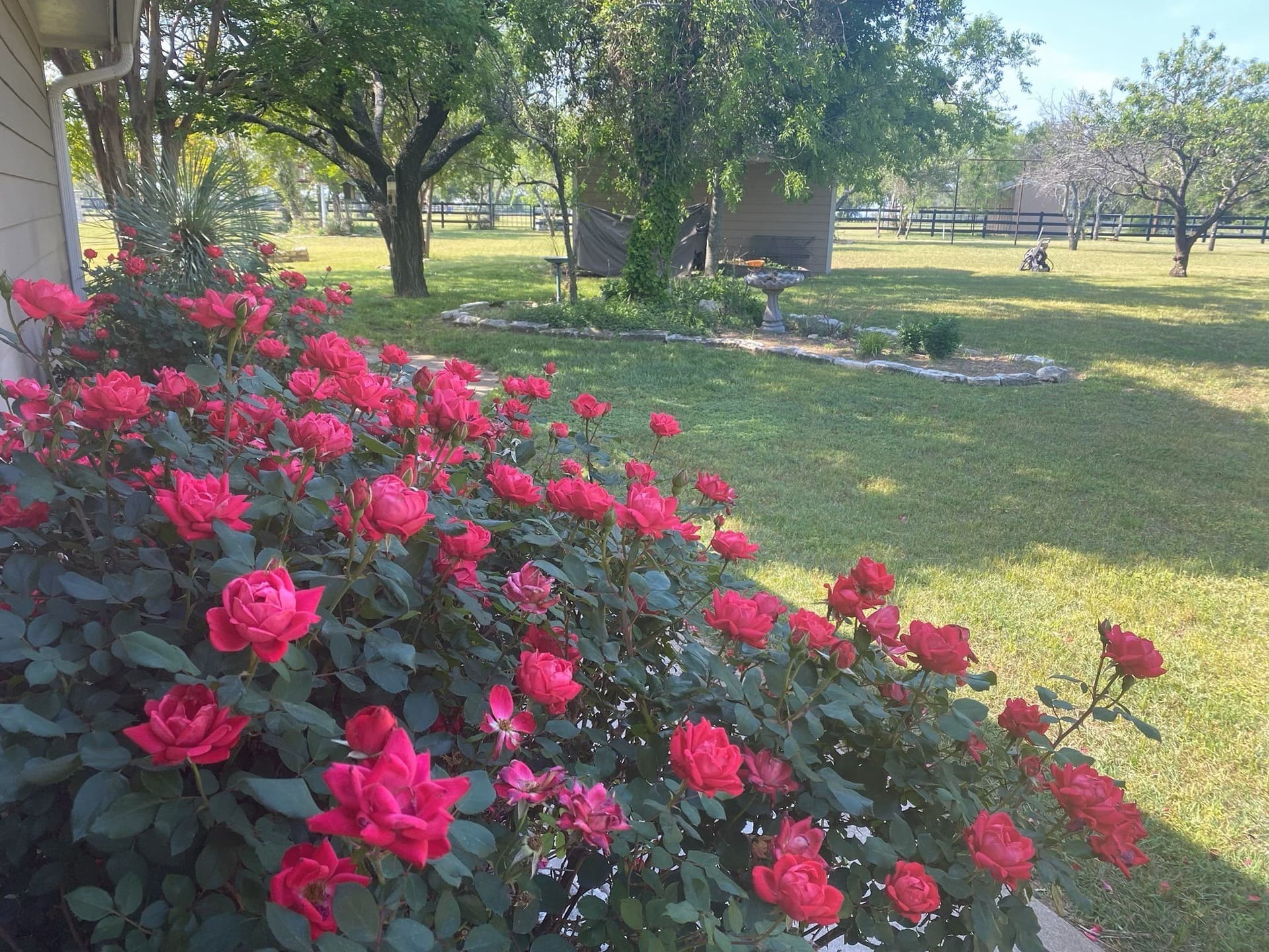 85.79 acres in Erath County - photo 4