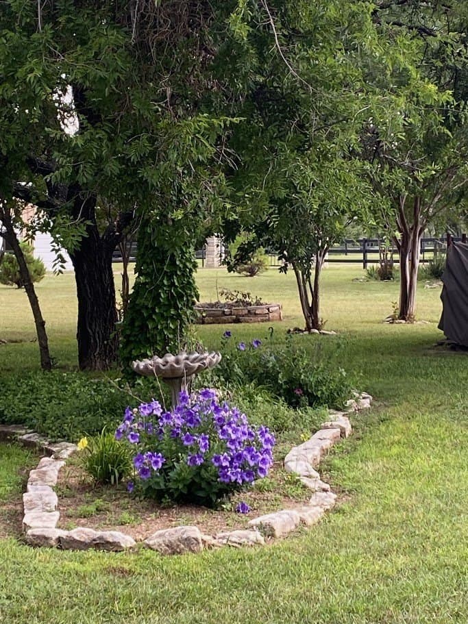 85.79 acres in Erath County - photo 8