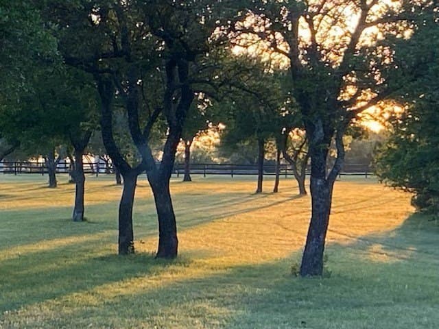 85.79 acres in Erath County - photo 5