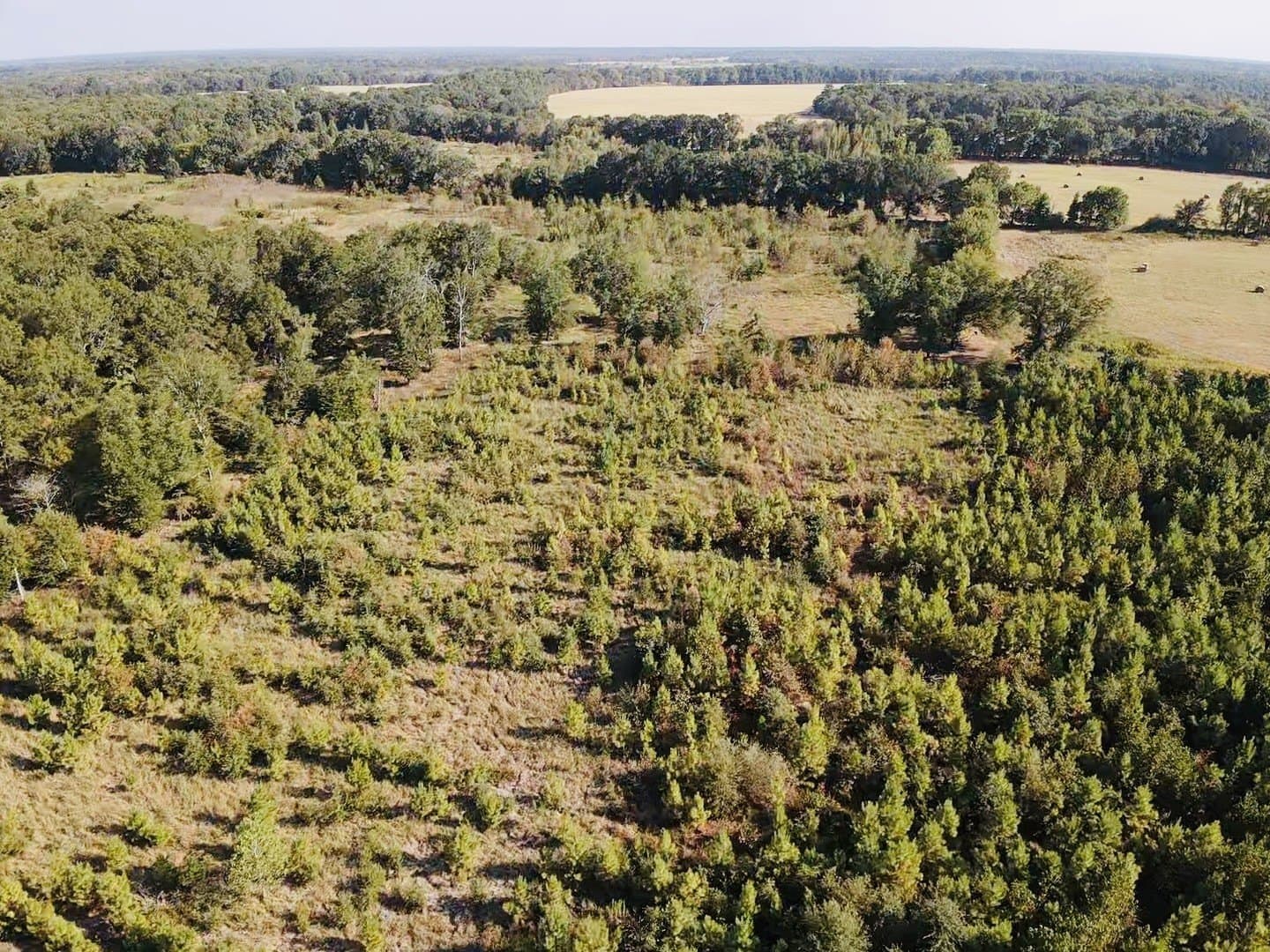 100 acres in Red River (TX) County - photo 3